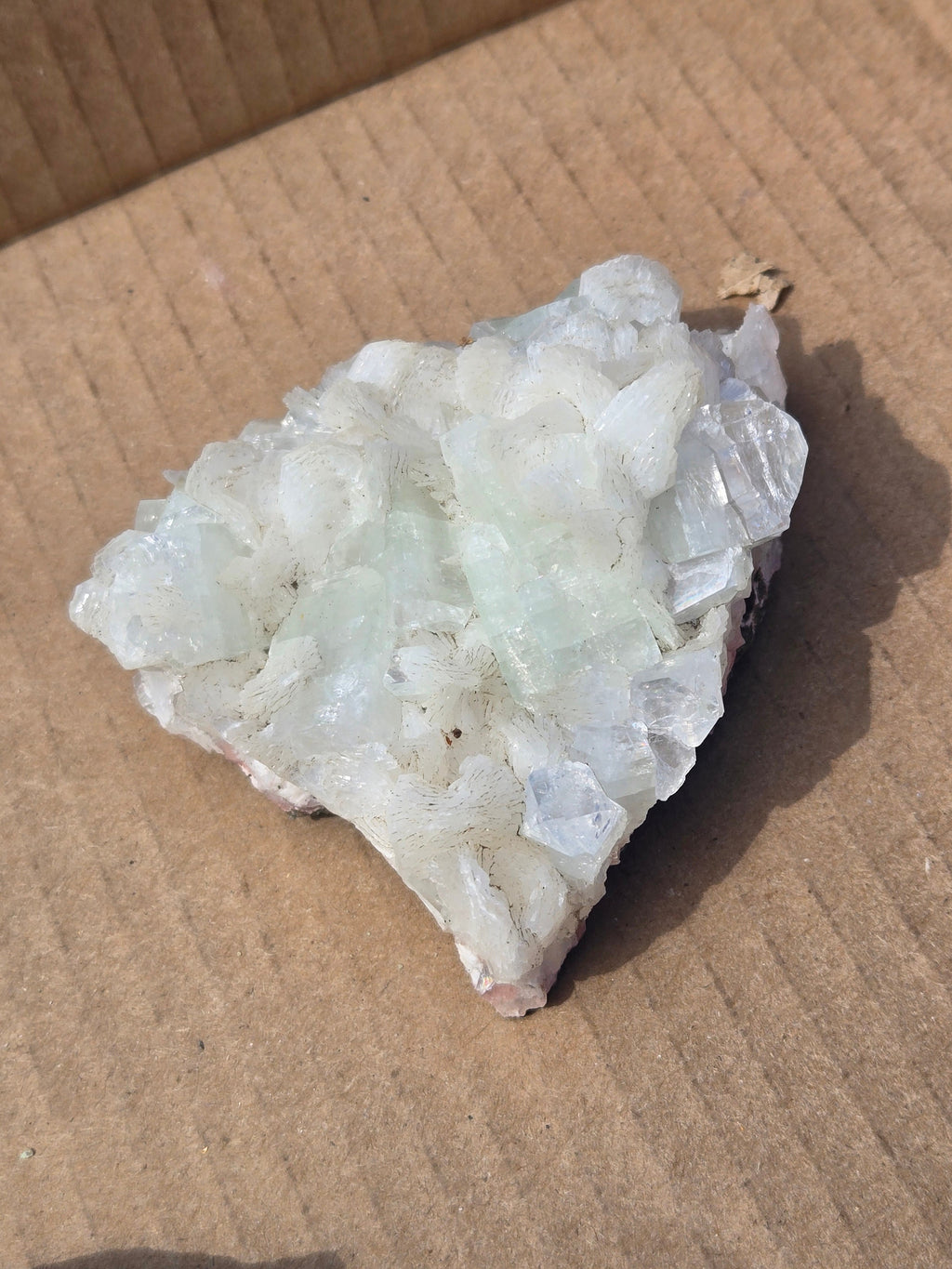 Apophyllite