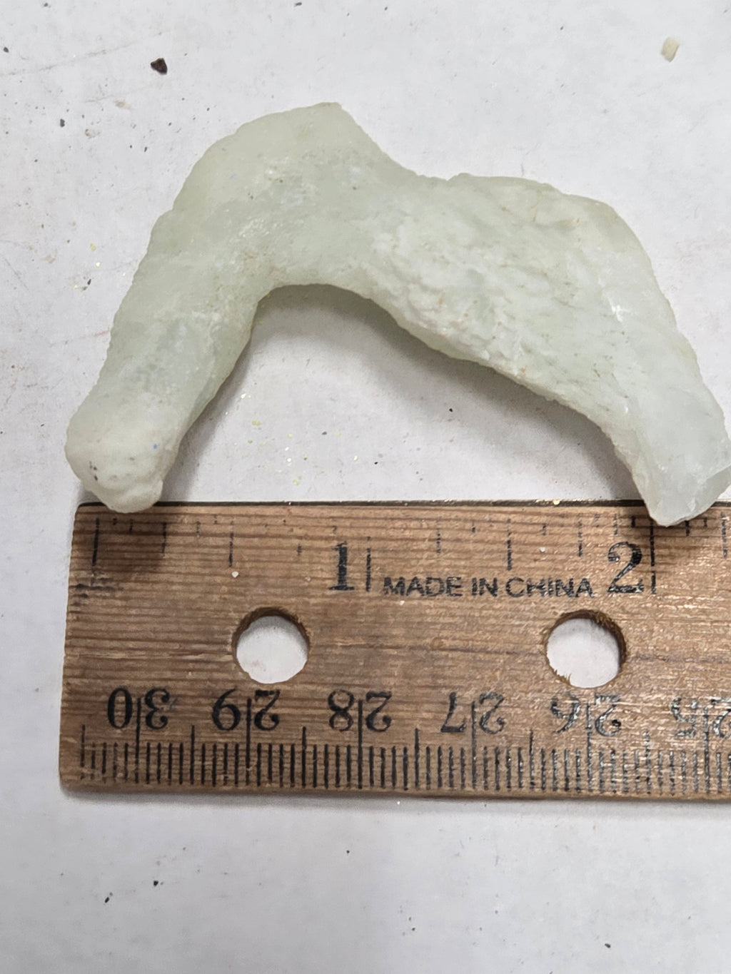 Aragonite Ram Horn