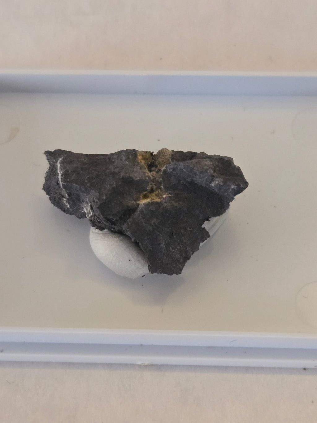 Argentopyrite Rare mineral specimen