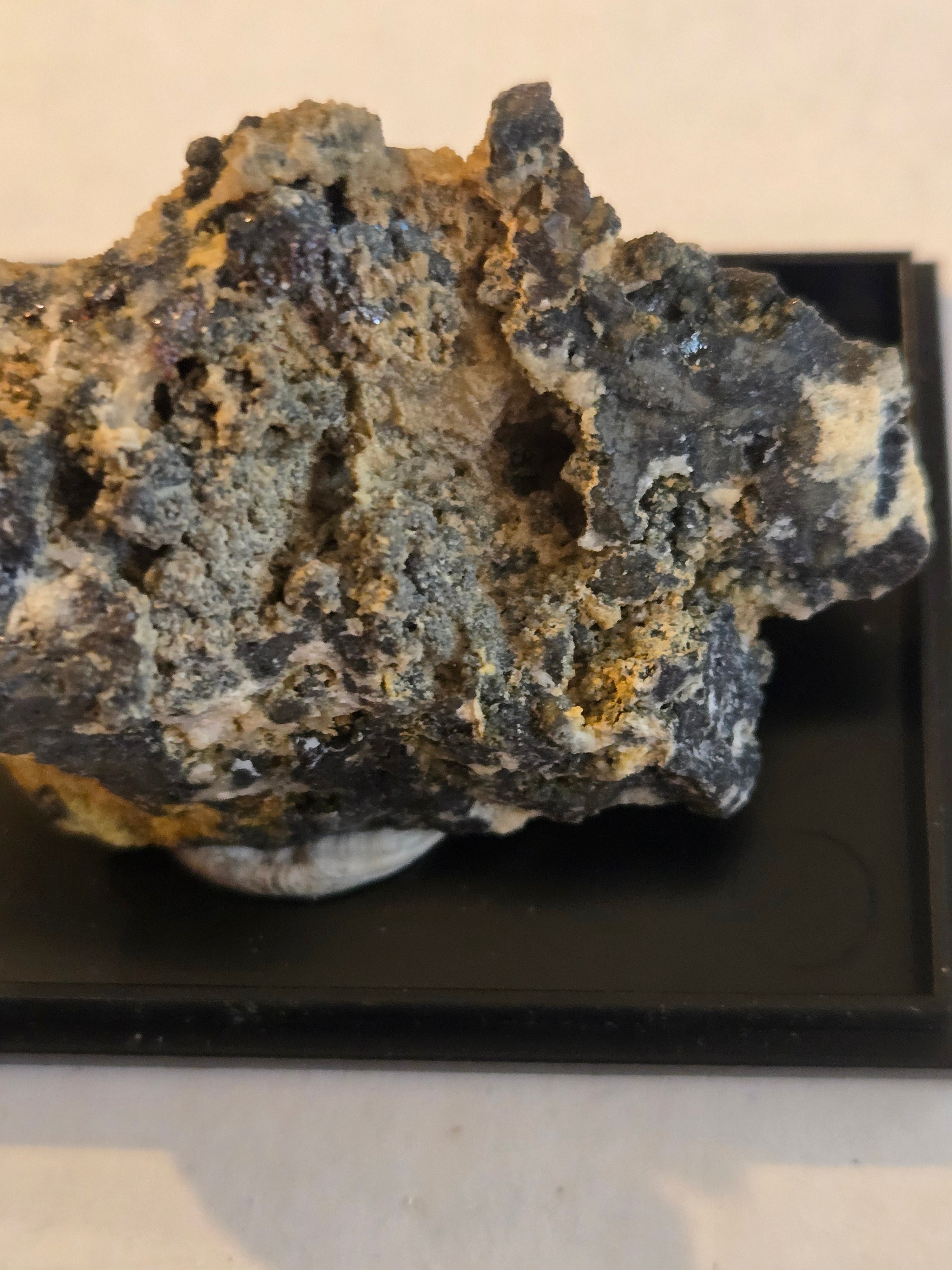 Argentopyrite with proustite specimen