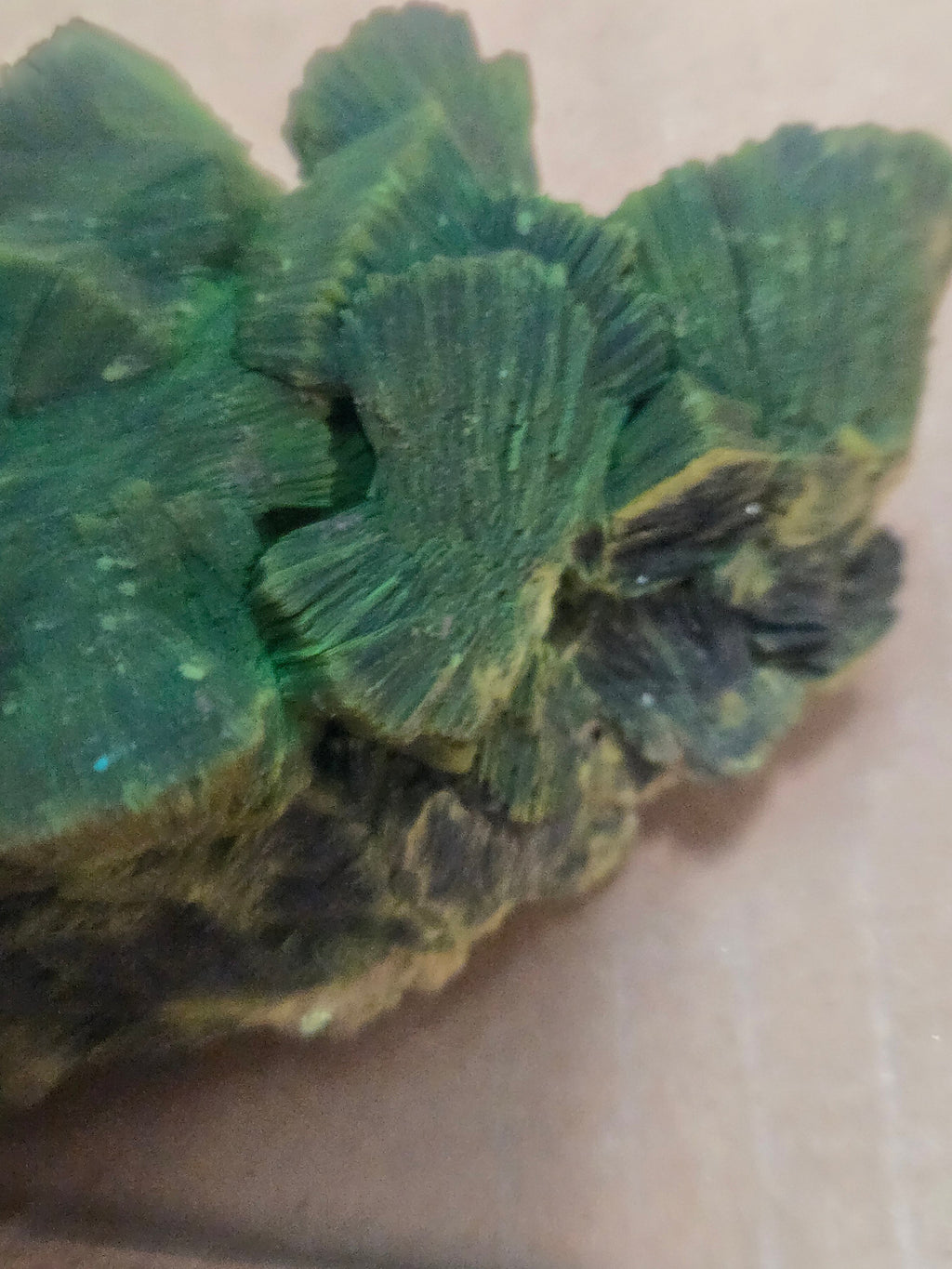 Autunite