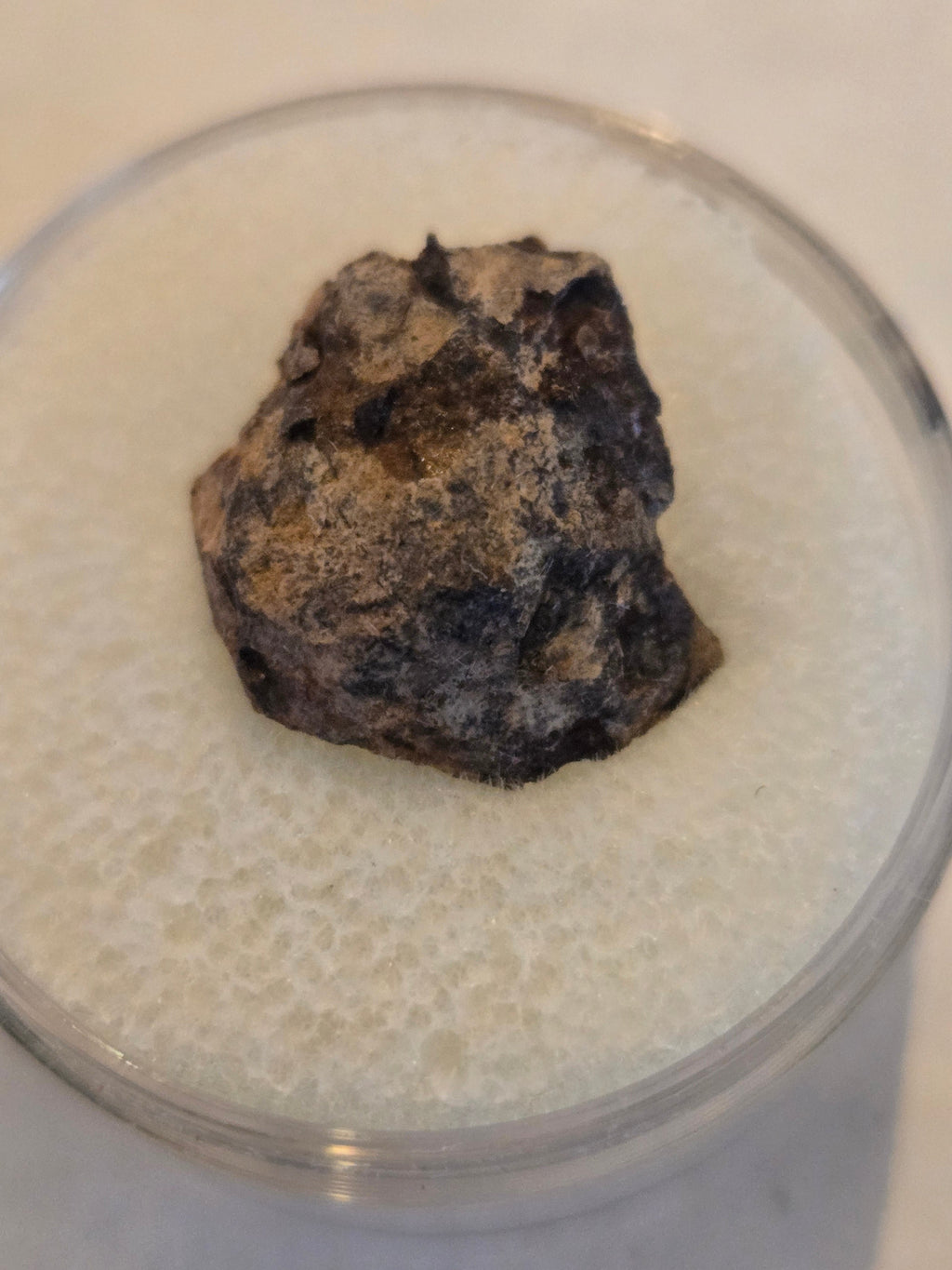 Balcarce meteorite specimen