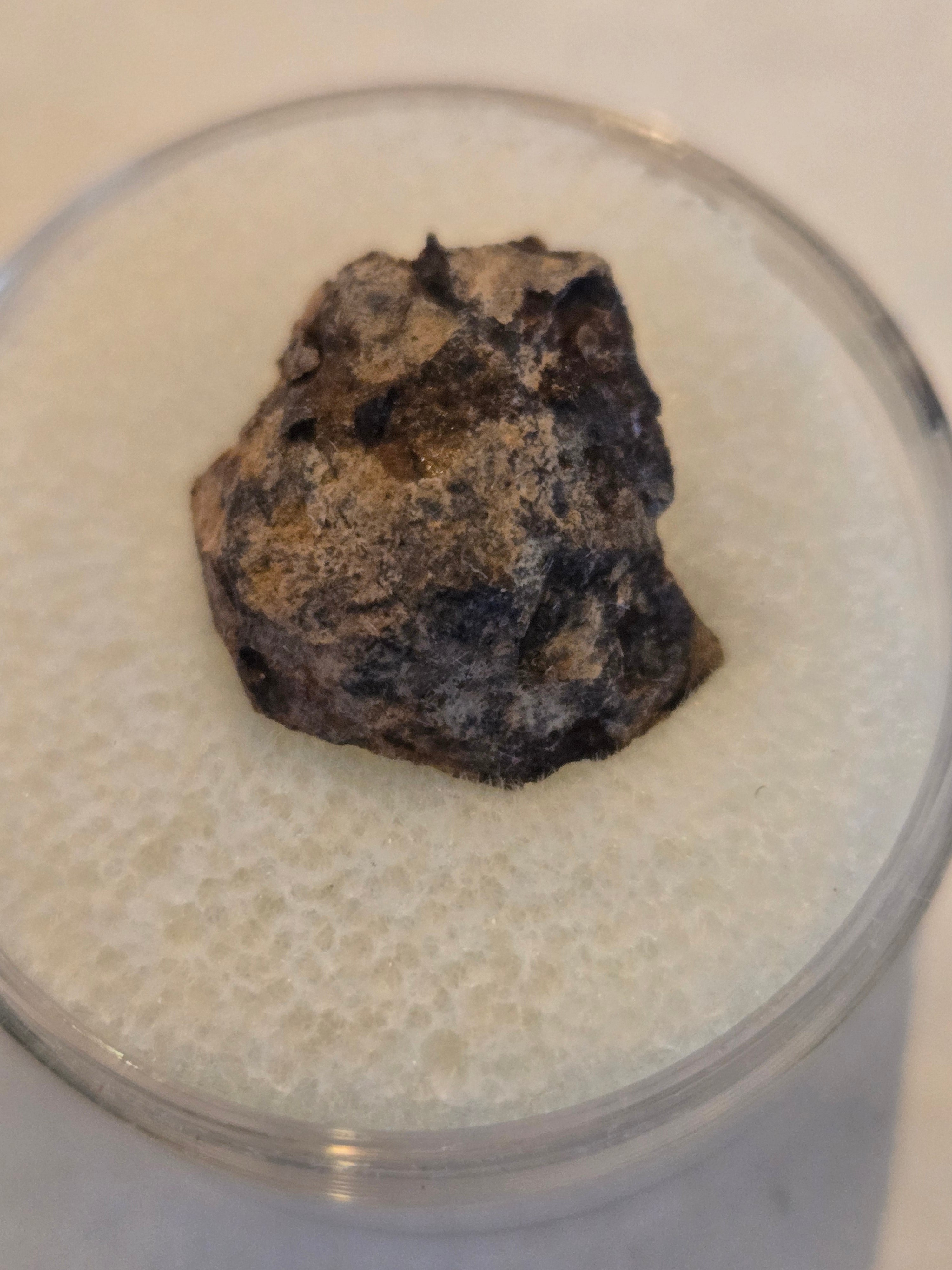 Balcarce meteorite specimen