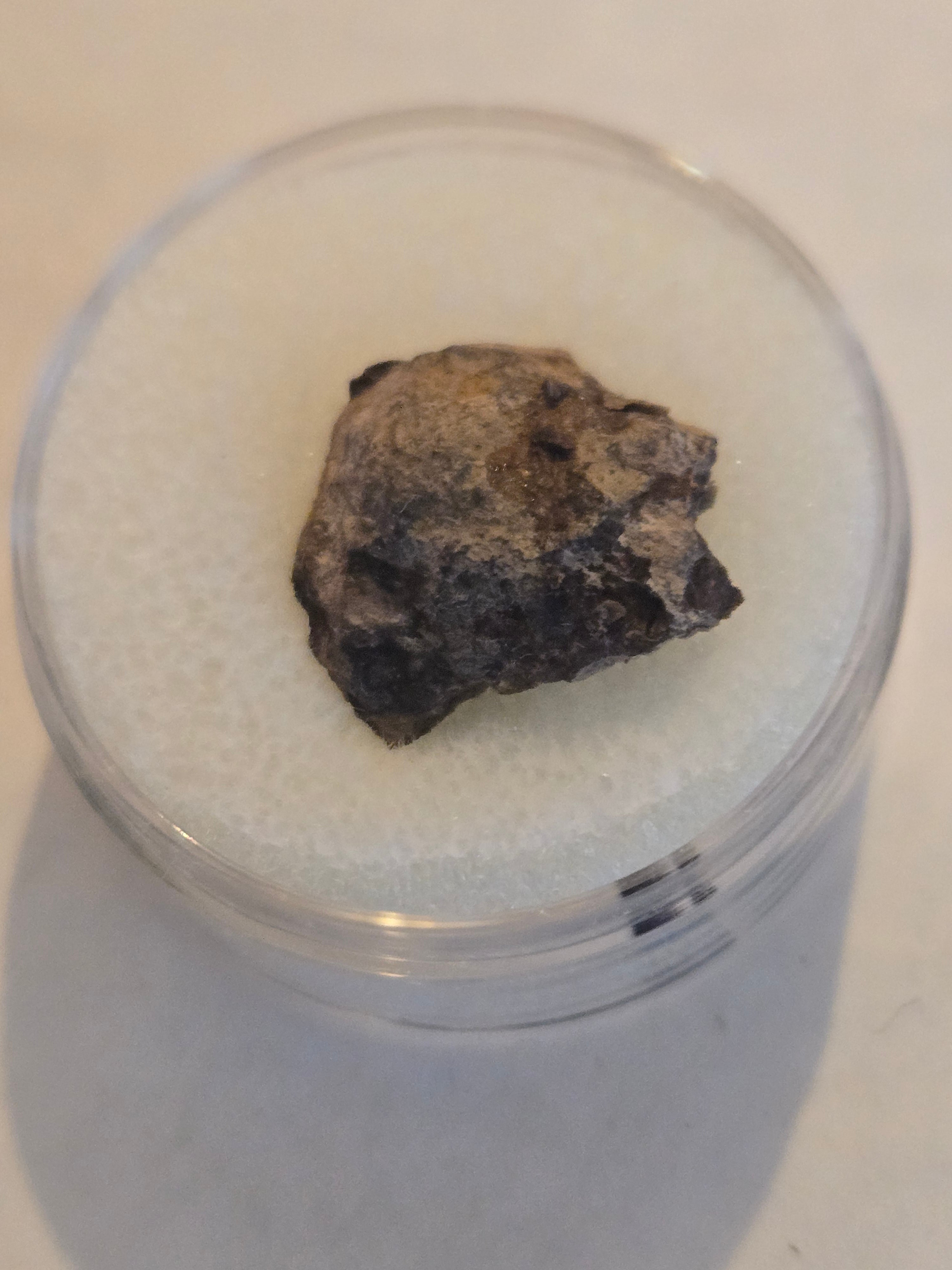 Balcarce meteorite specimen