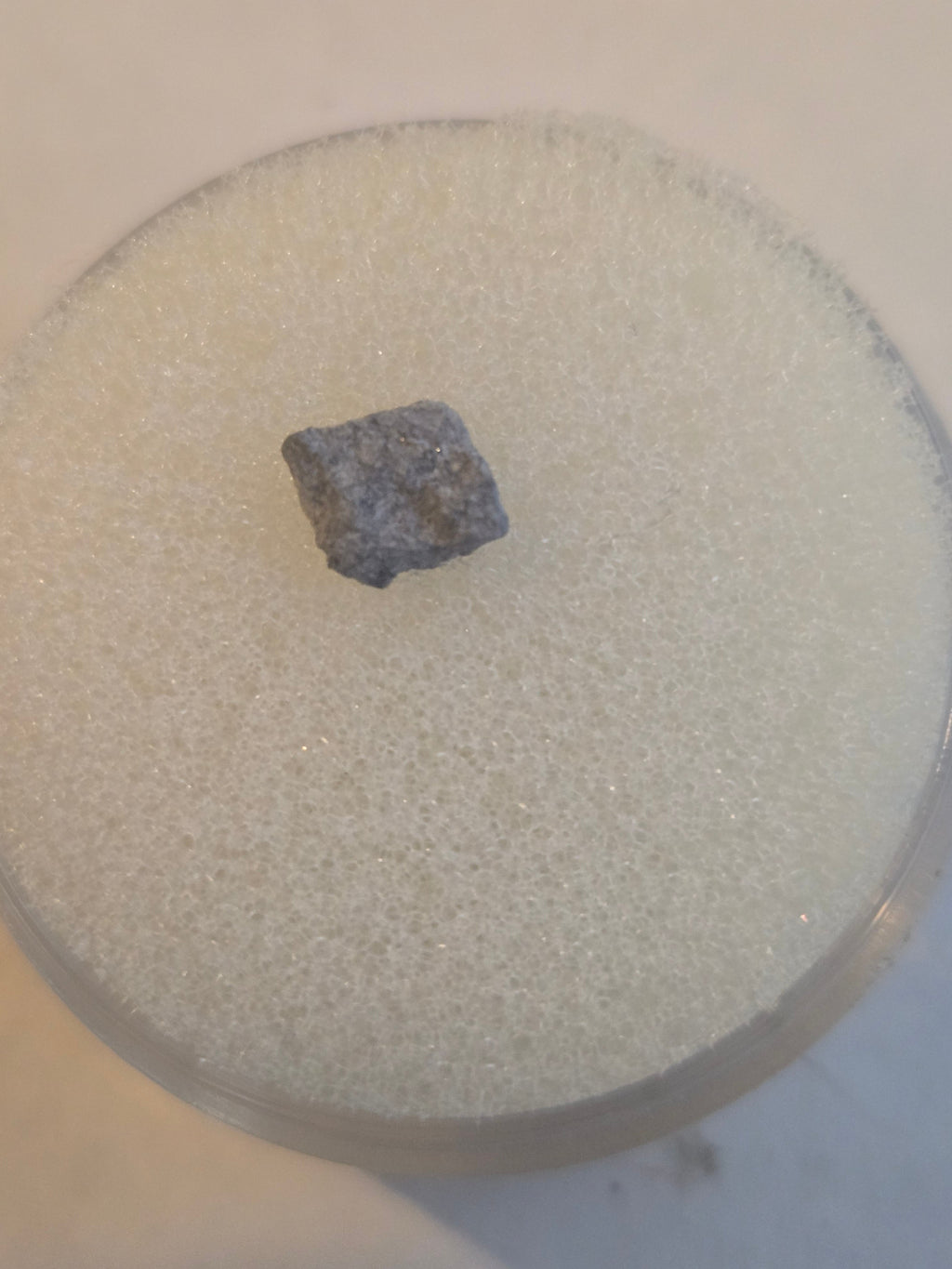 Bensour Meteorite Specimen