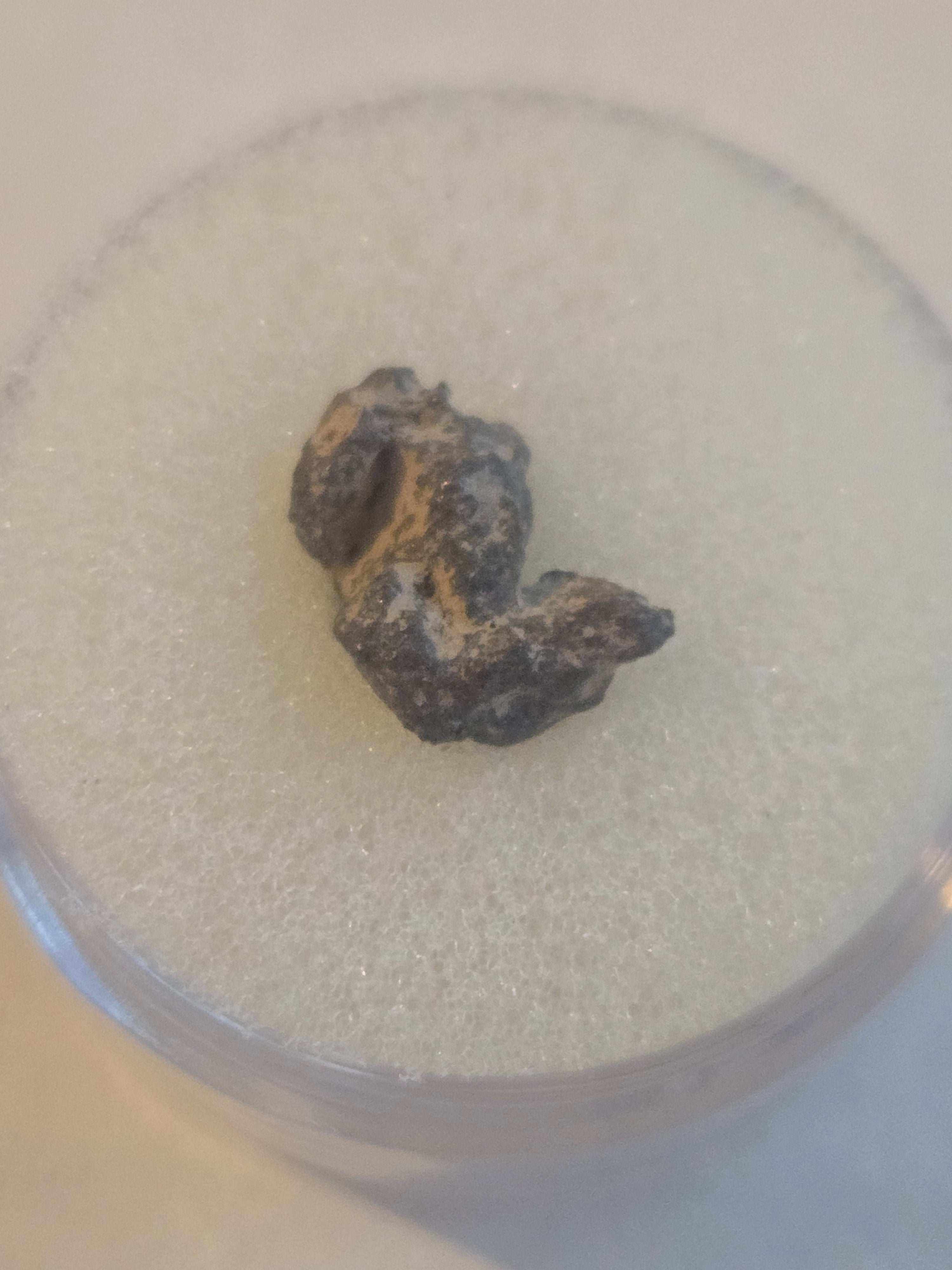 Bondoc Meteorite Specimen