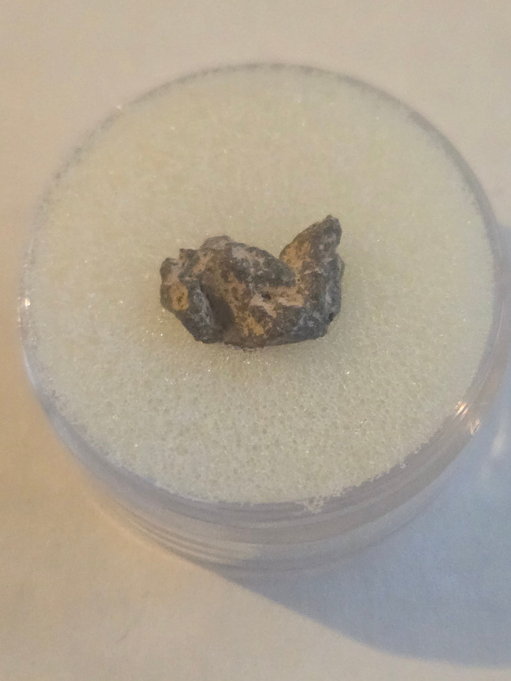 Bondoc Meteorite Specimen