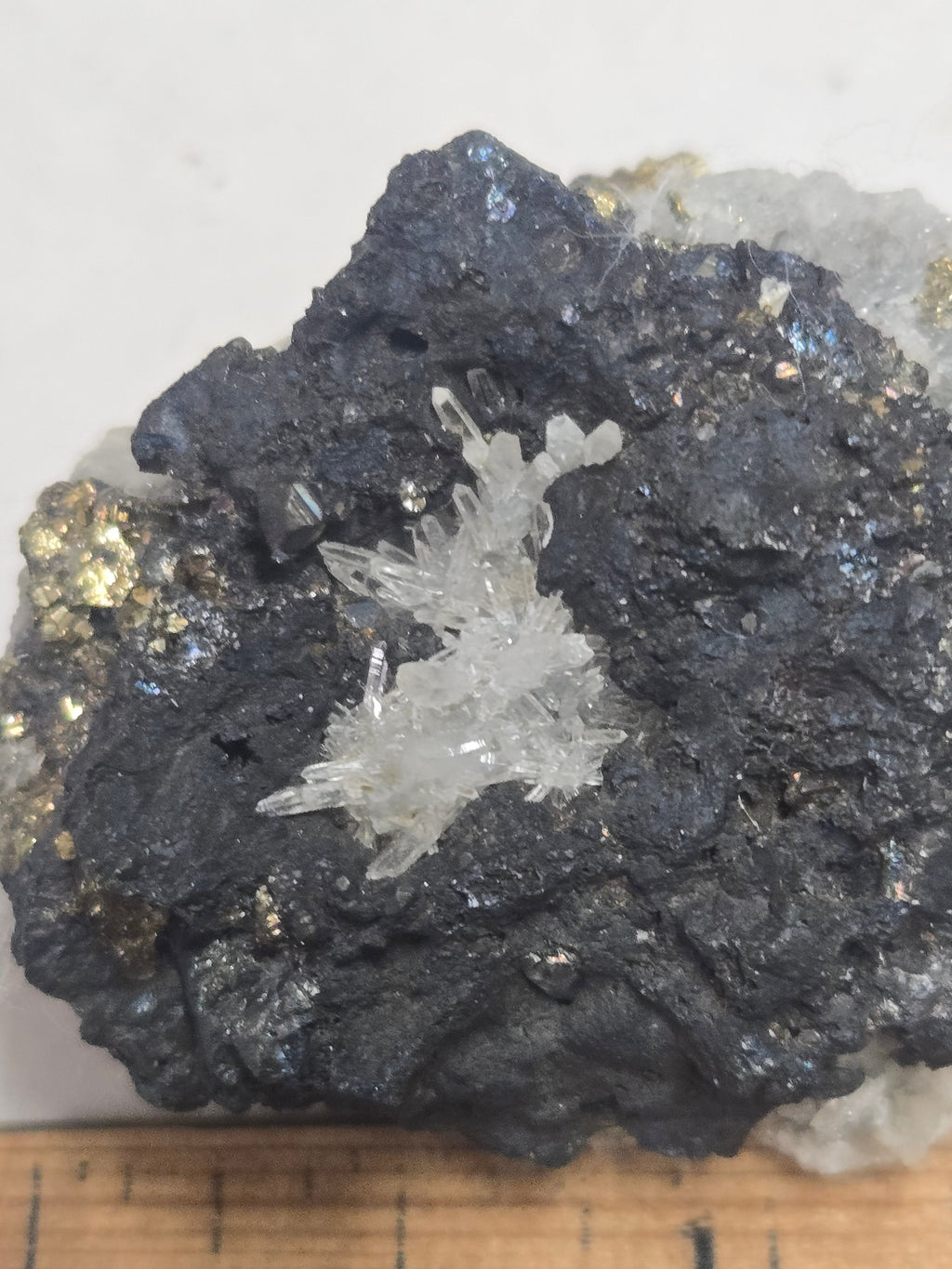 Bornite with Quartz