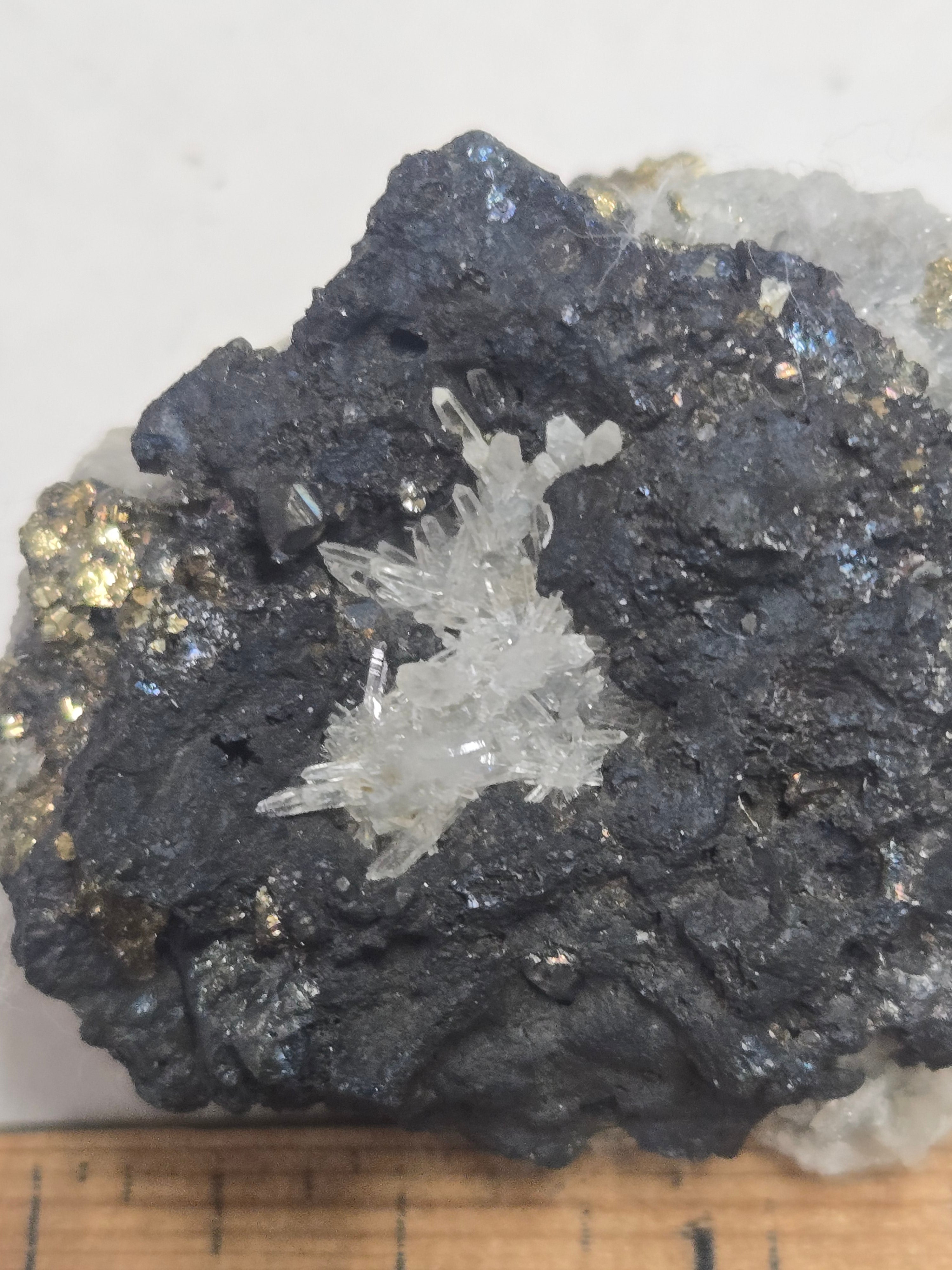 Bornite with Quartz