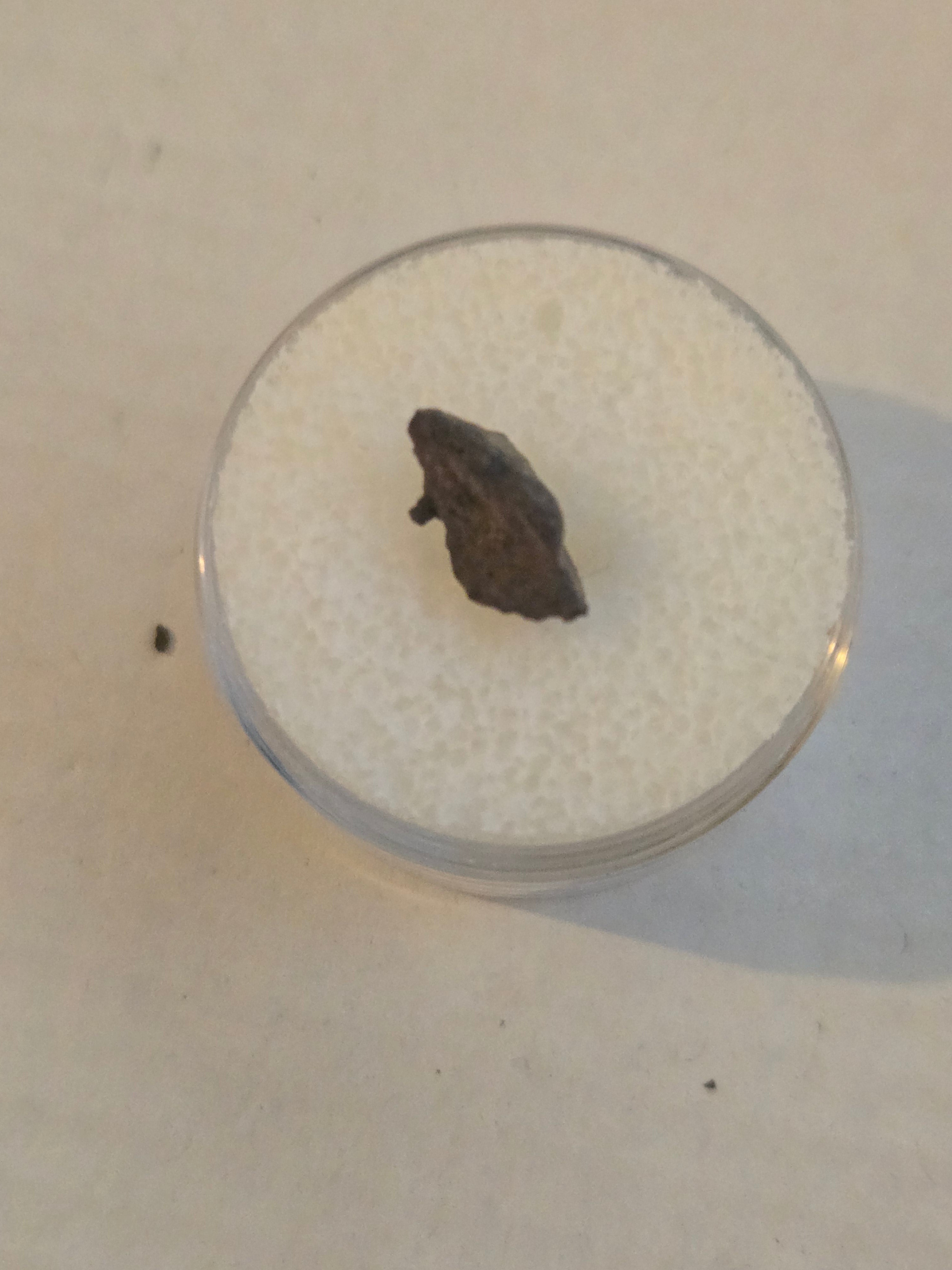 Buck mountain meteorite