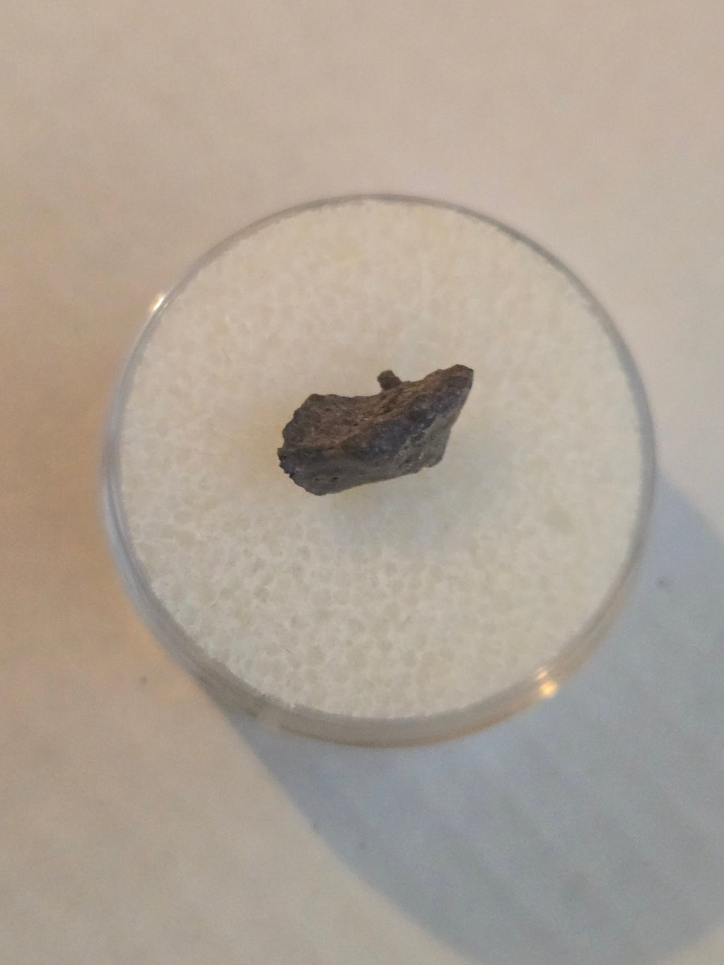 Buck mountain meteorite