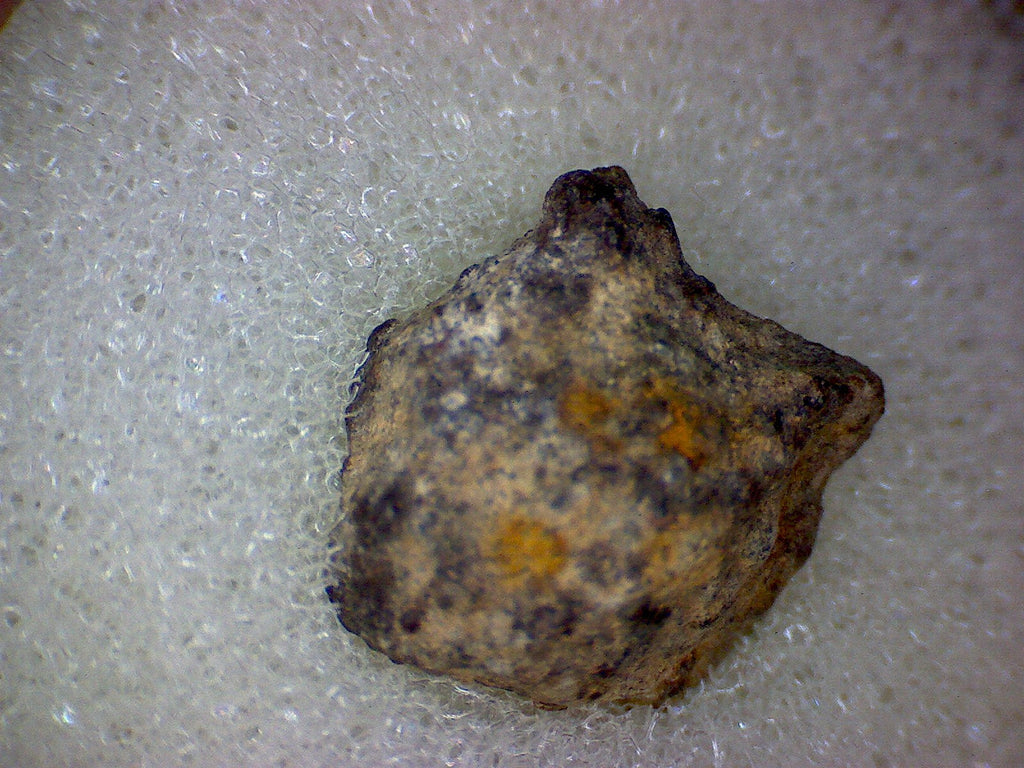 Buck Mountain meteorite specimen