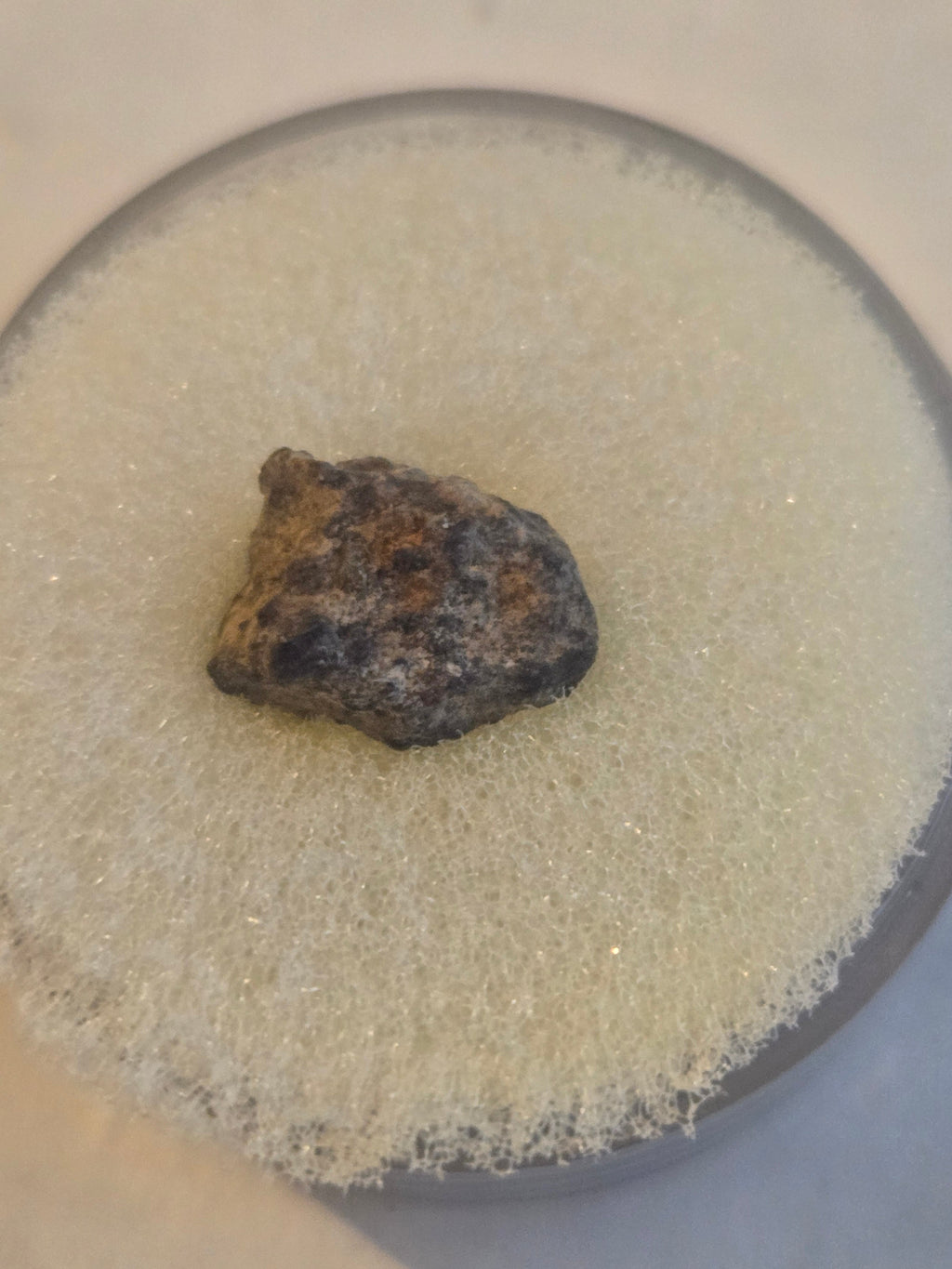 Buck Mountain meteorite specimen