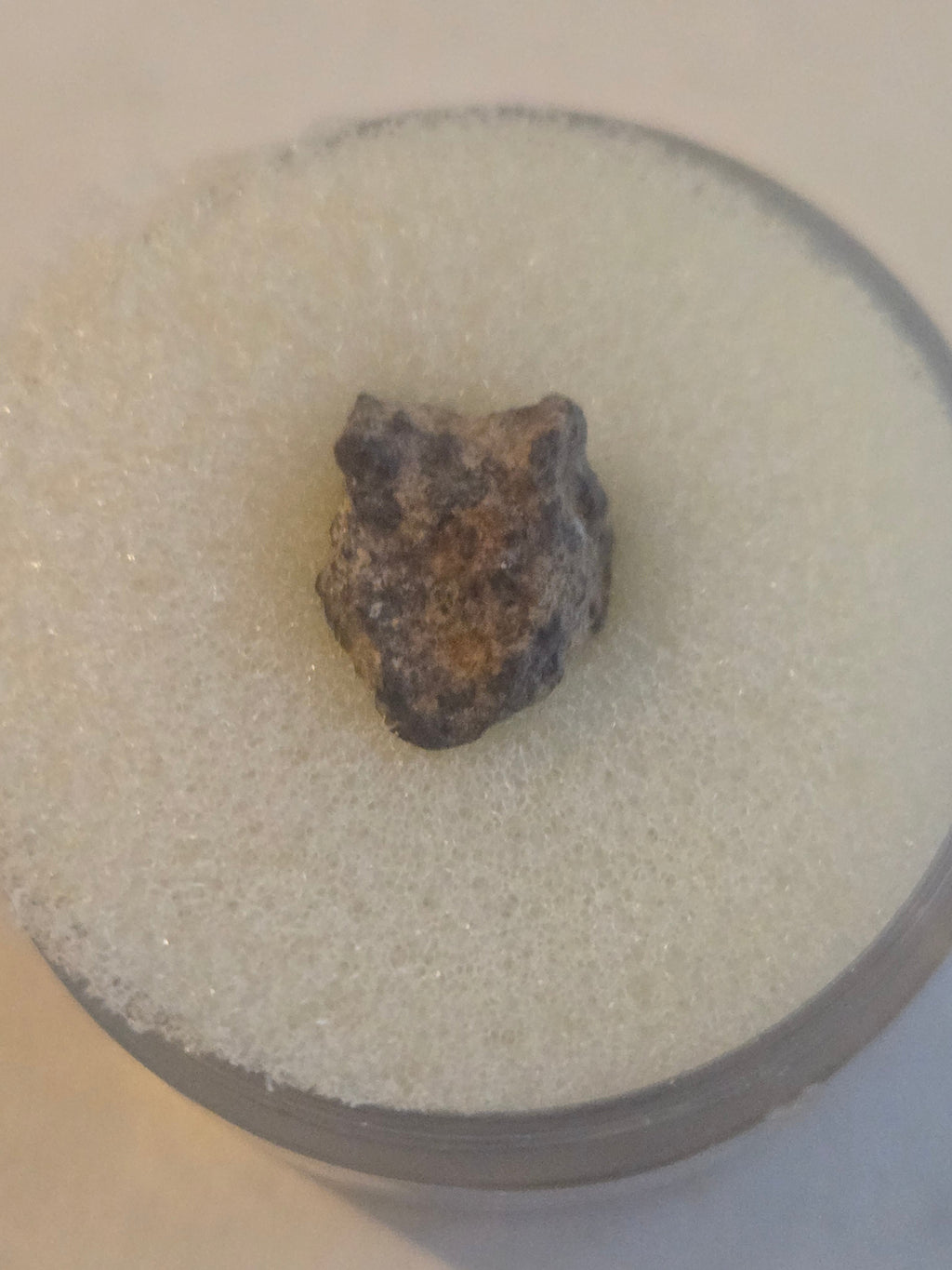 Buck Mountain meteorite specimen