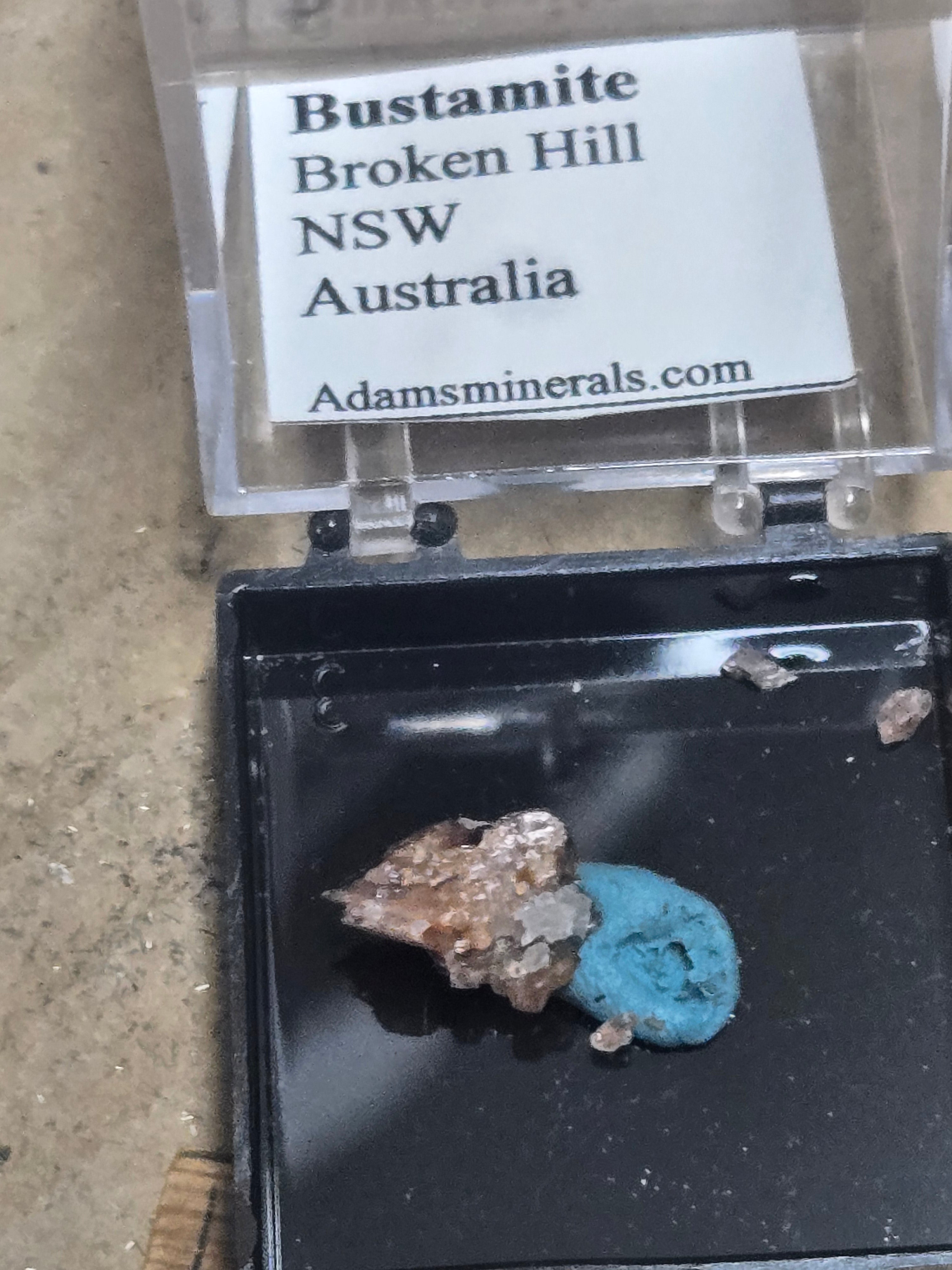 Bustamite