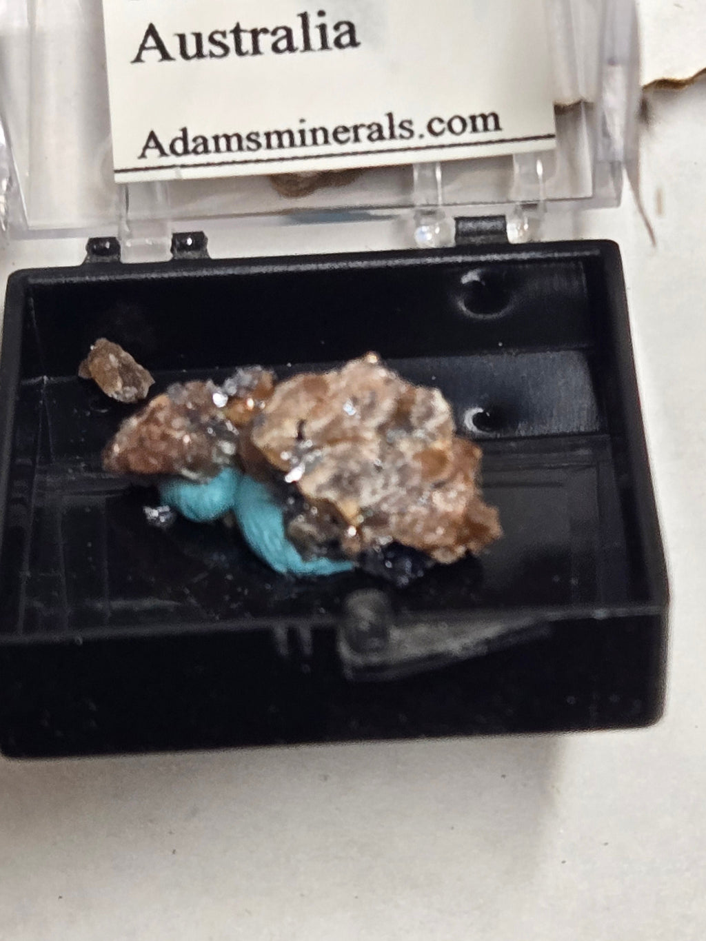 Bustamite