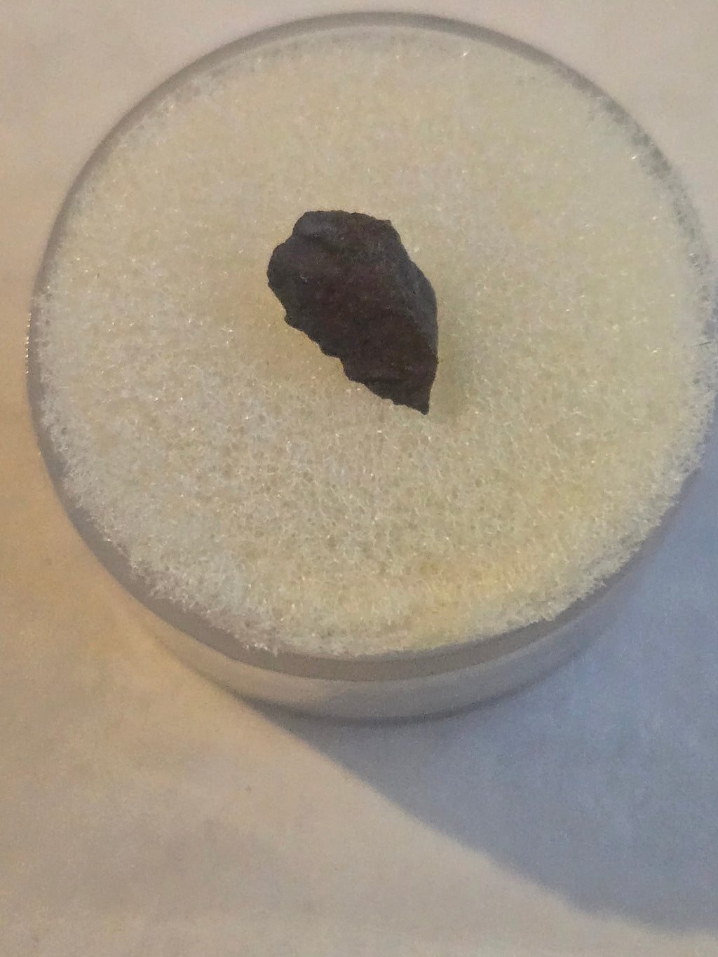 Camp Creek Meteorite Specimen