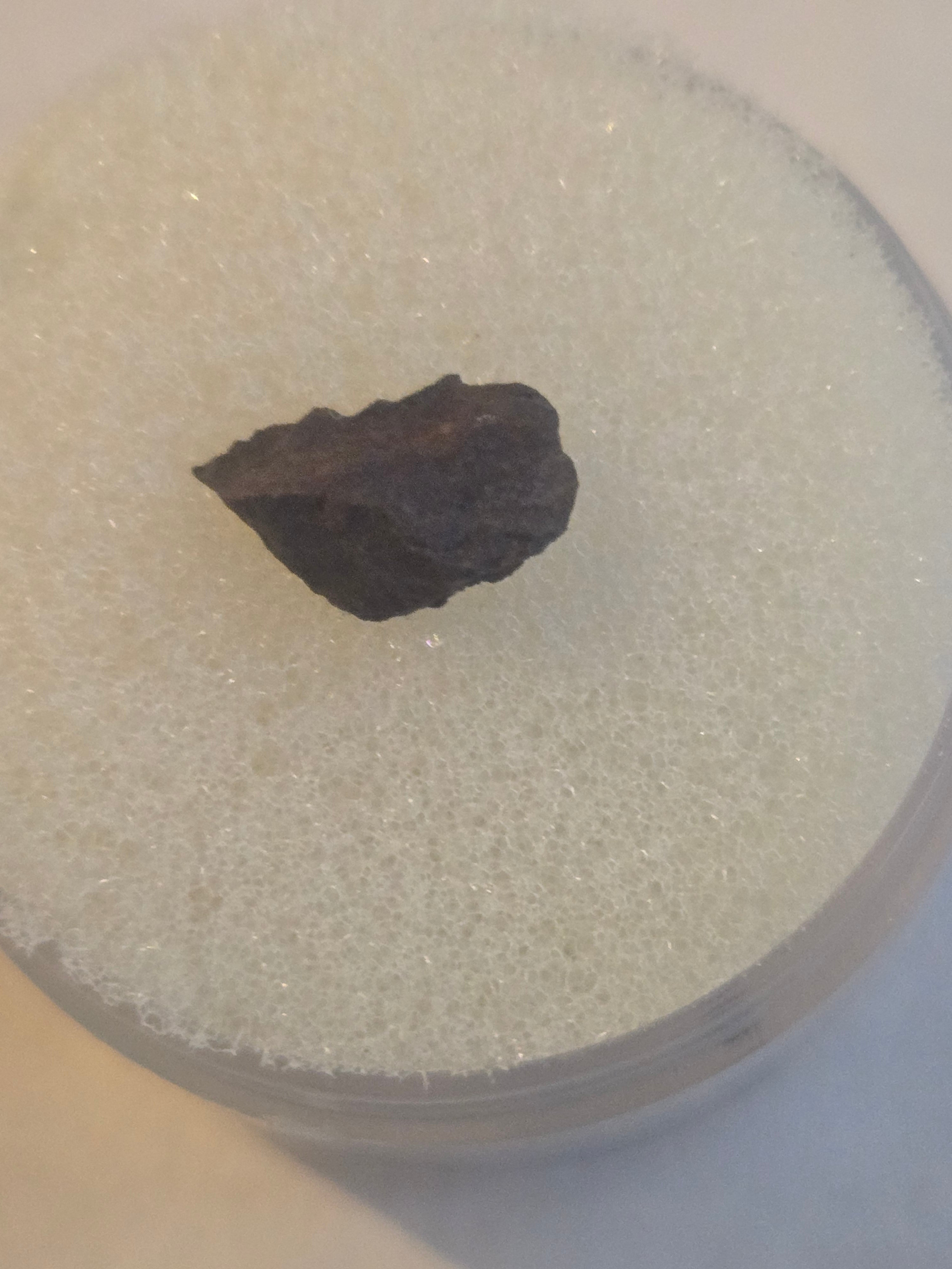 Camp Creek Meteorite Specimen
