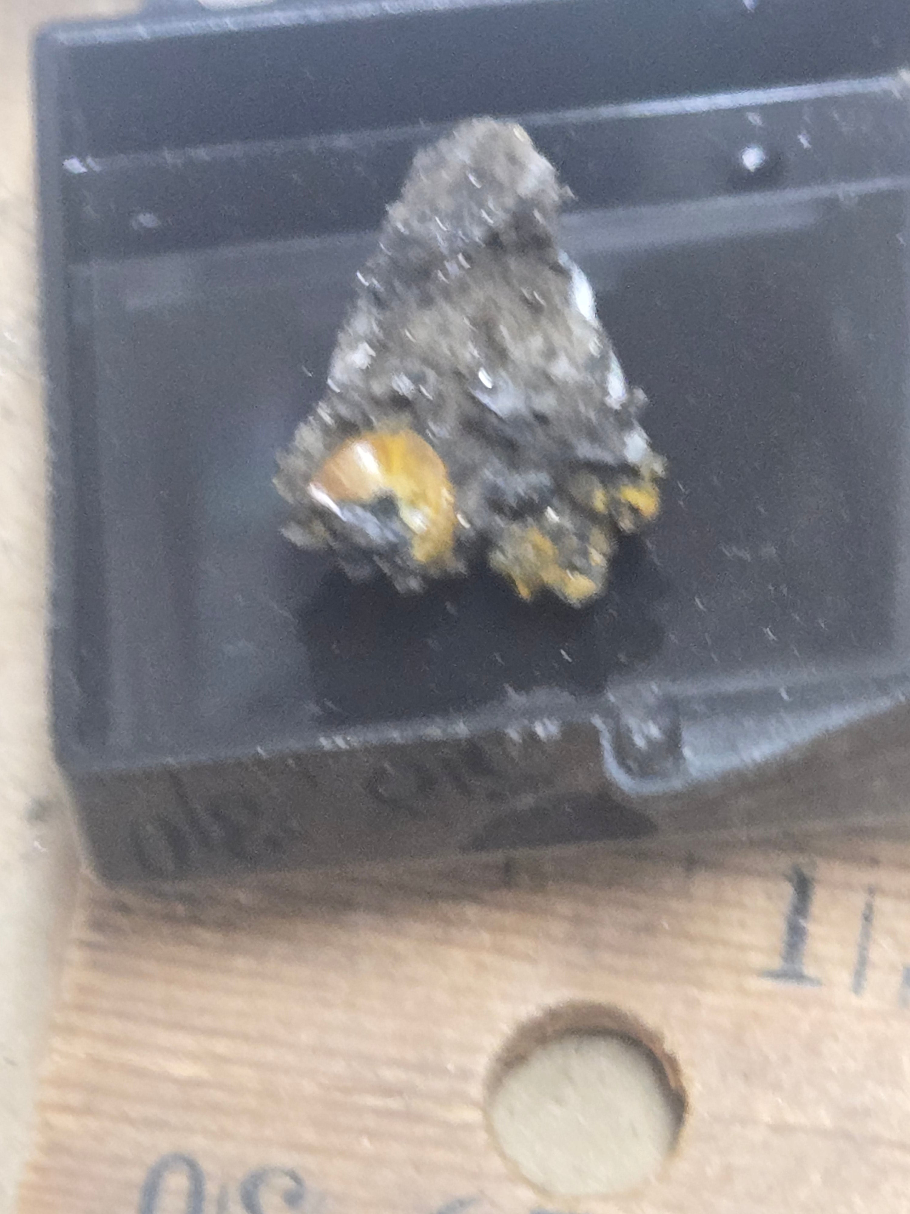 Campylite