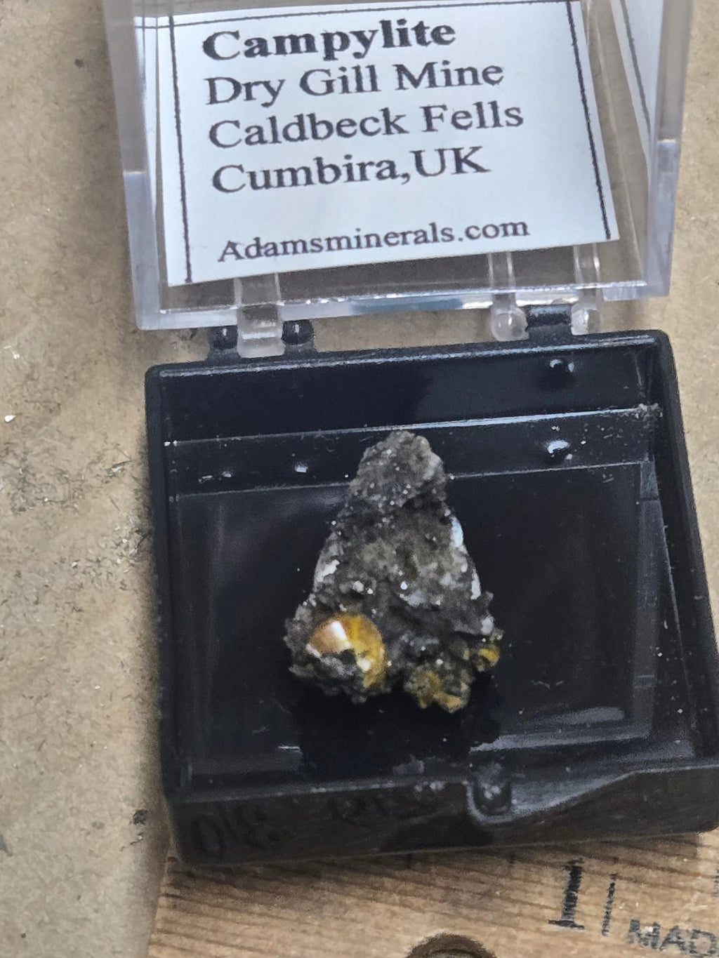 Campylite