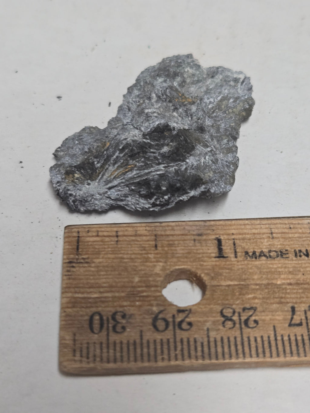 Canavesite on Ludwigite