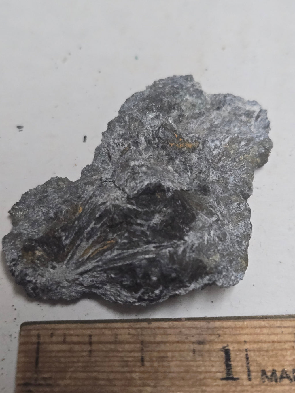 Canavesite on Ludwigite