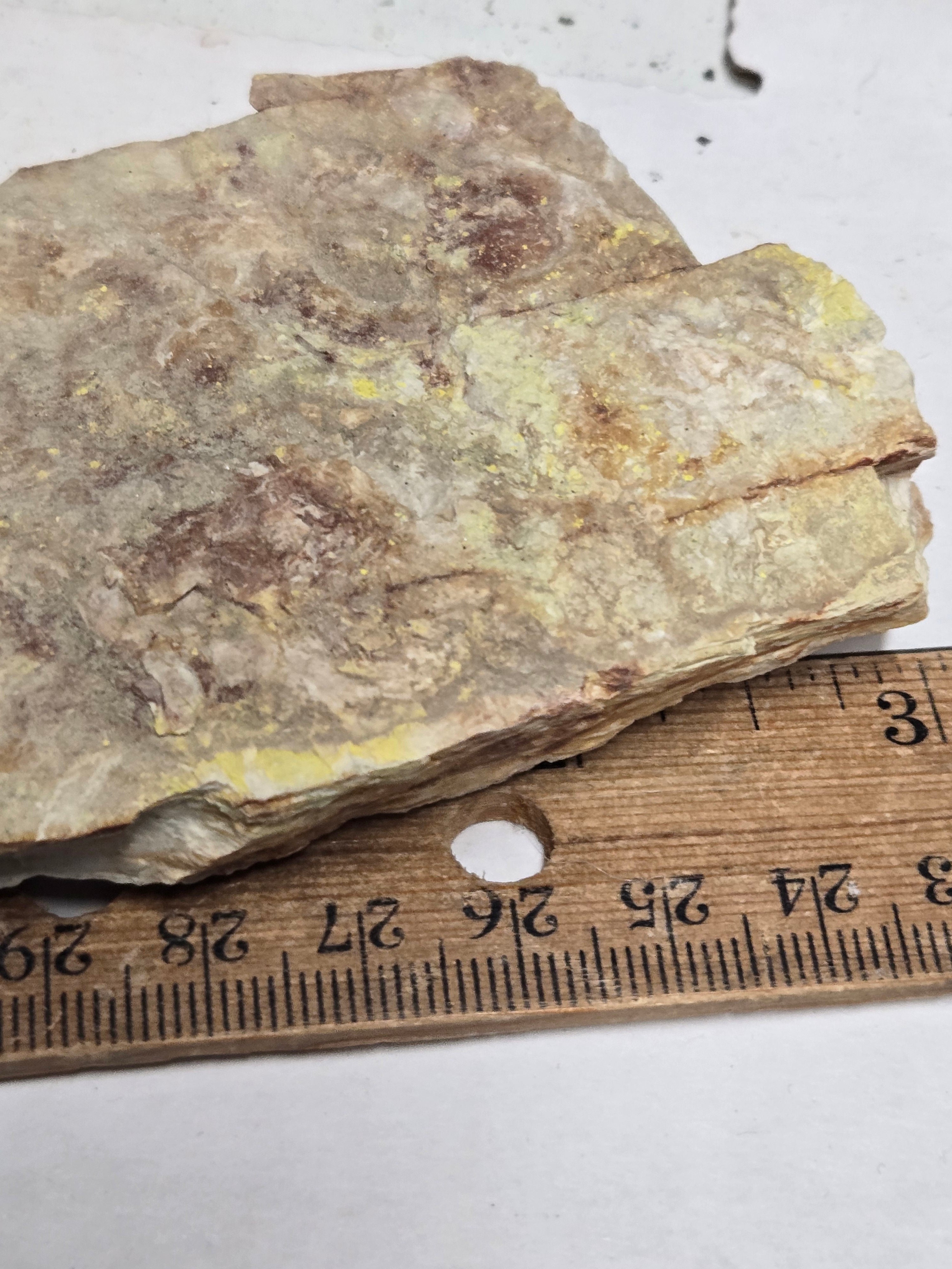 Carnotite