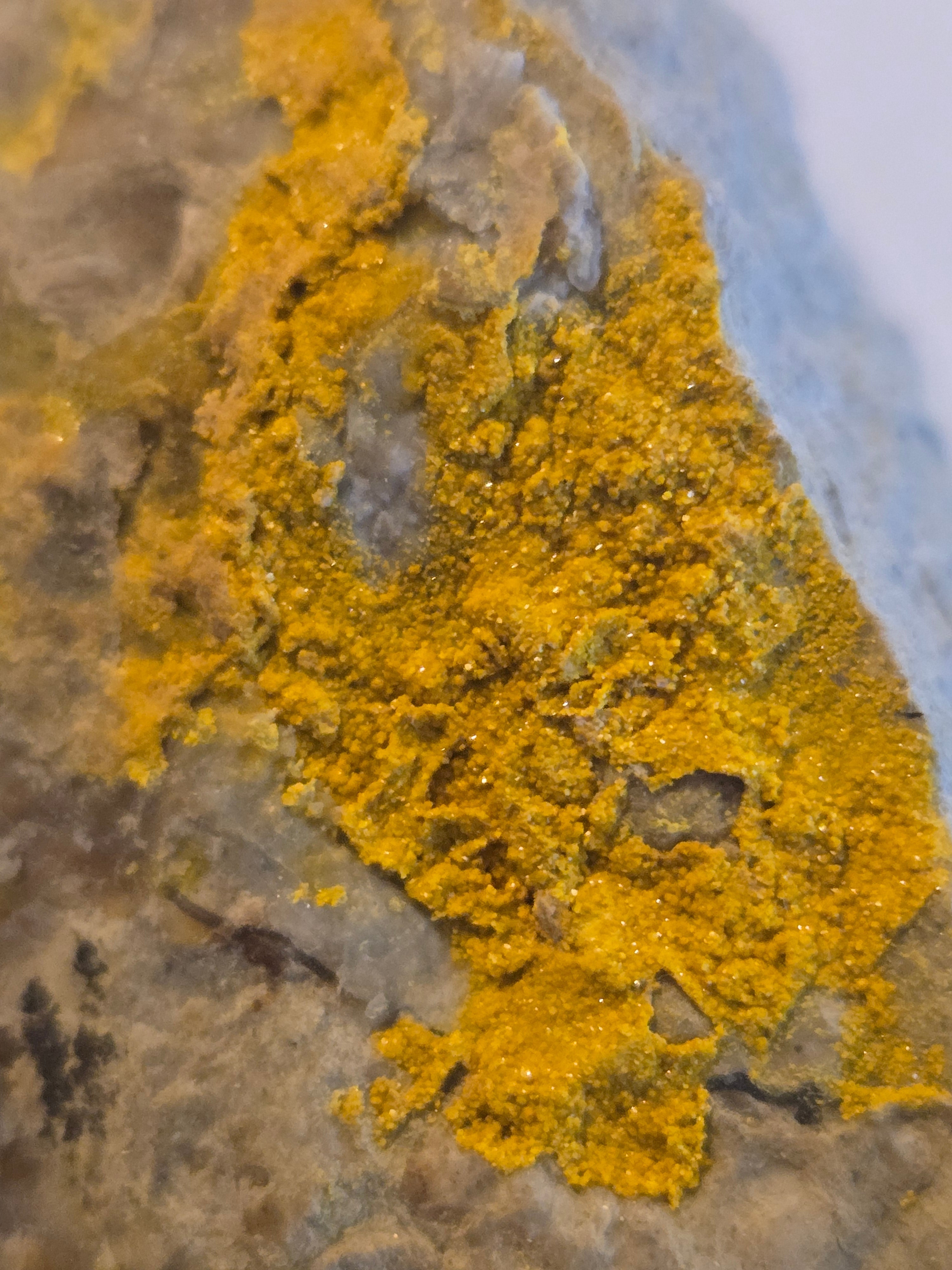 Carnotite crystals