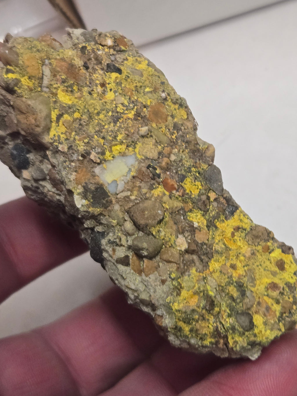 Carnotite on conglomerate