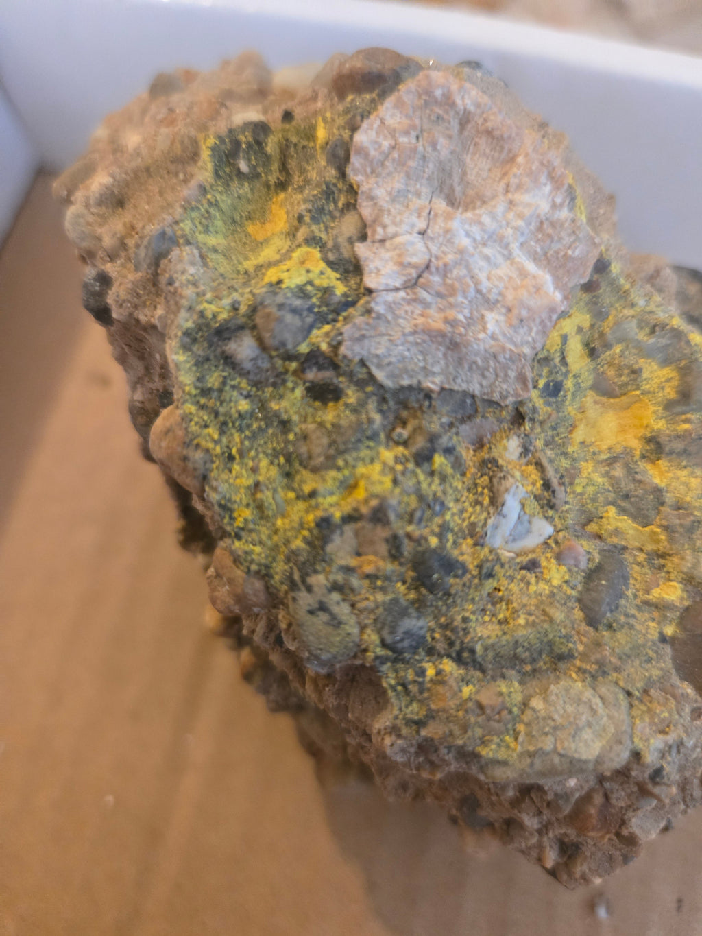 Carnotite on conglomerate
