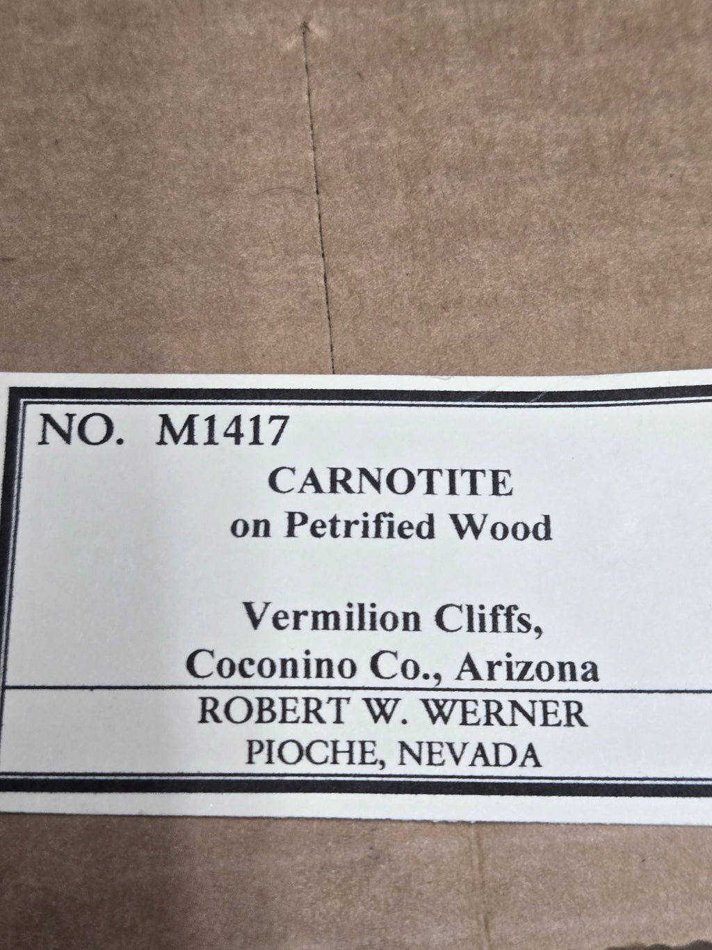 Carnotite on Petrified wood