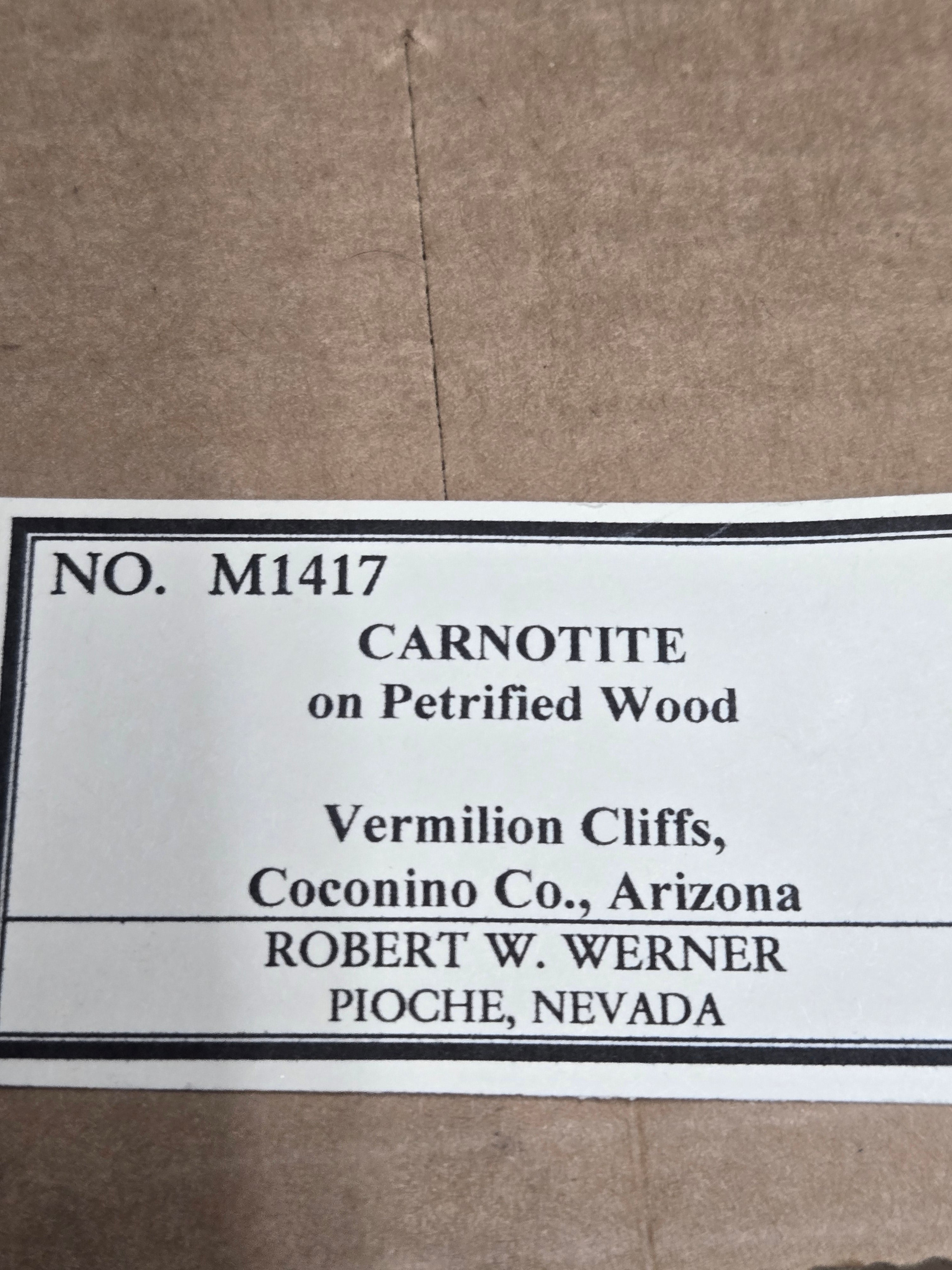 Carnotite on Petrified wood