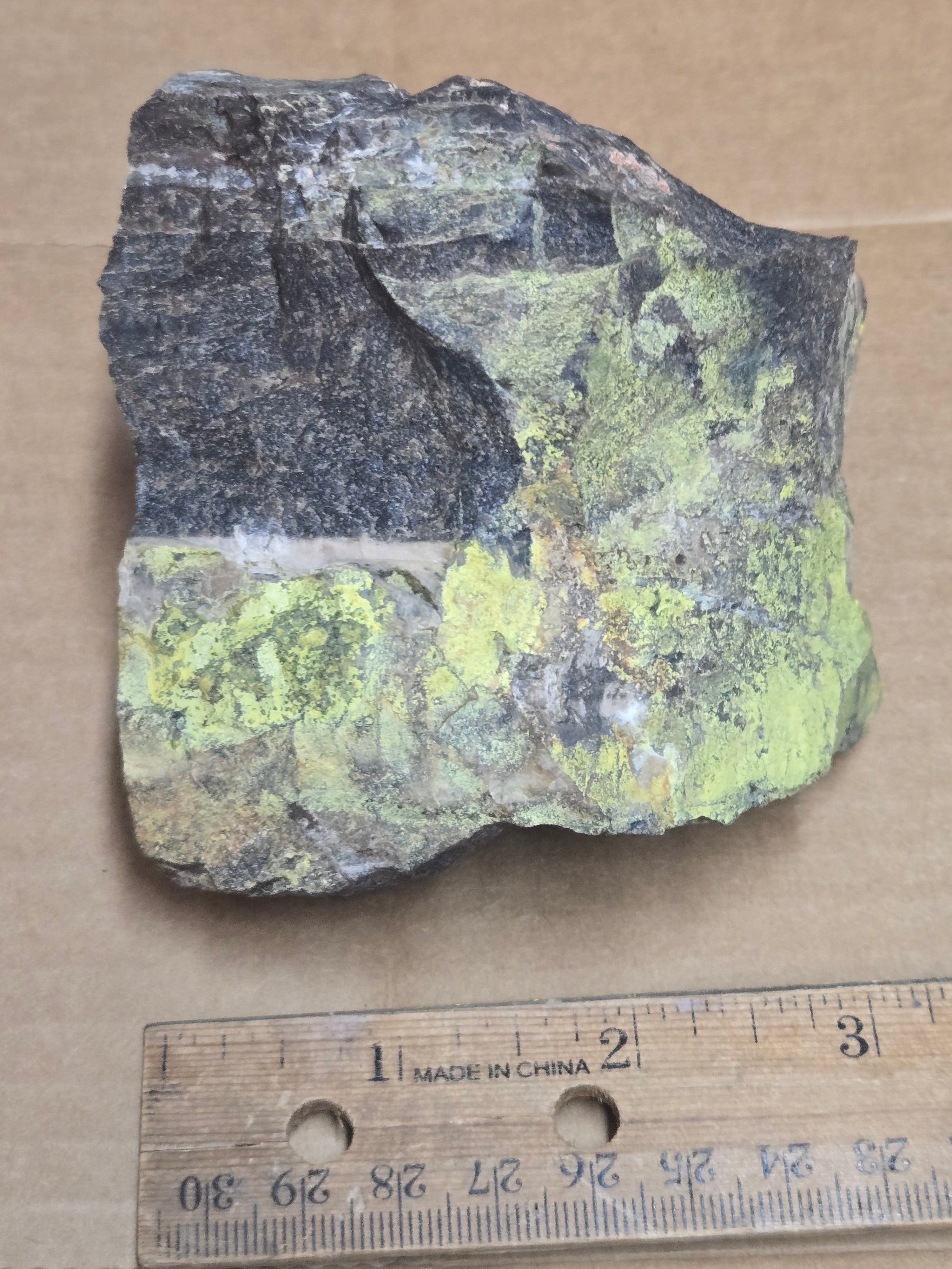 Carnotite on Petrified wood