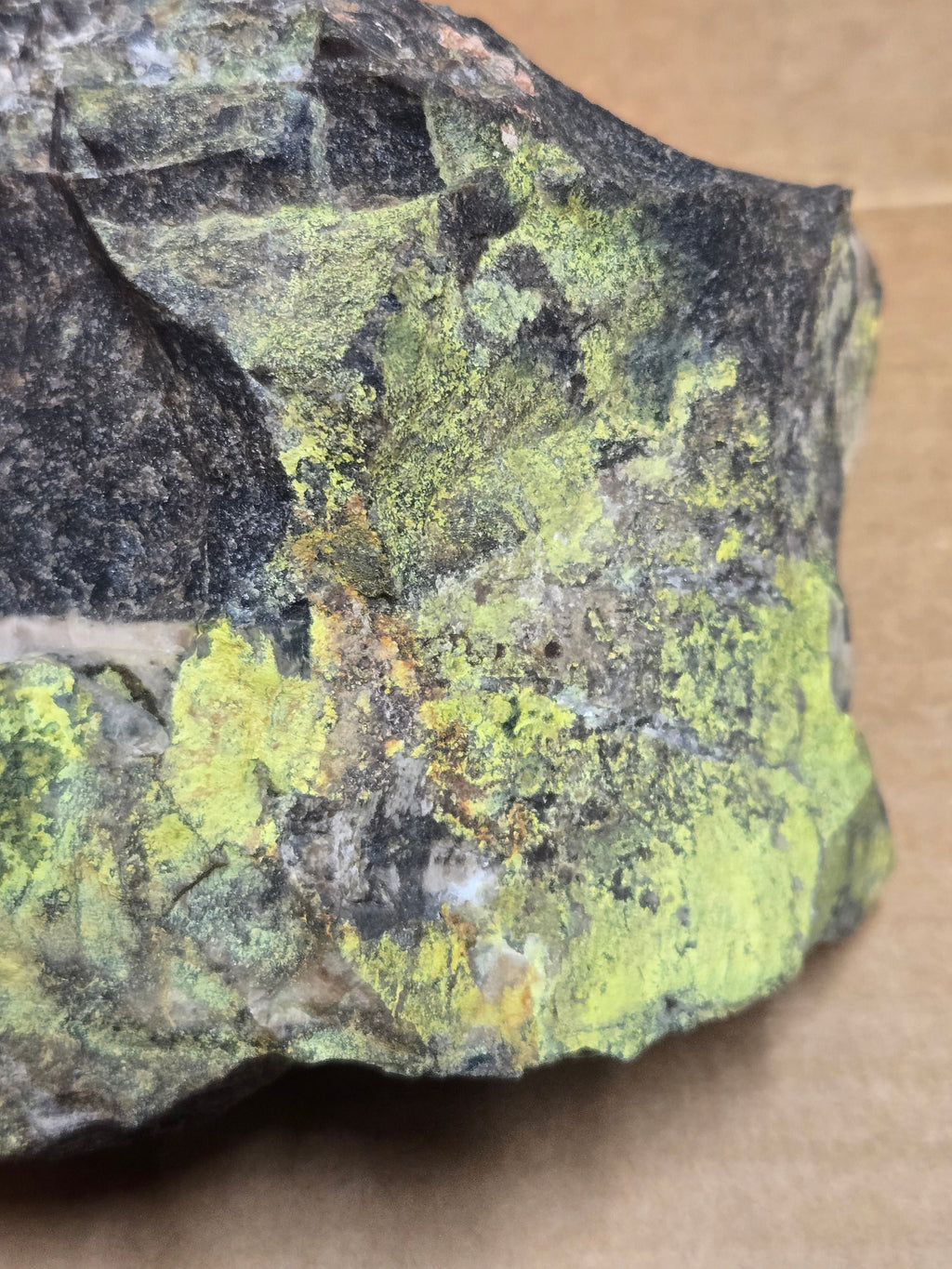 Carnotite on Petrified wood