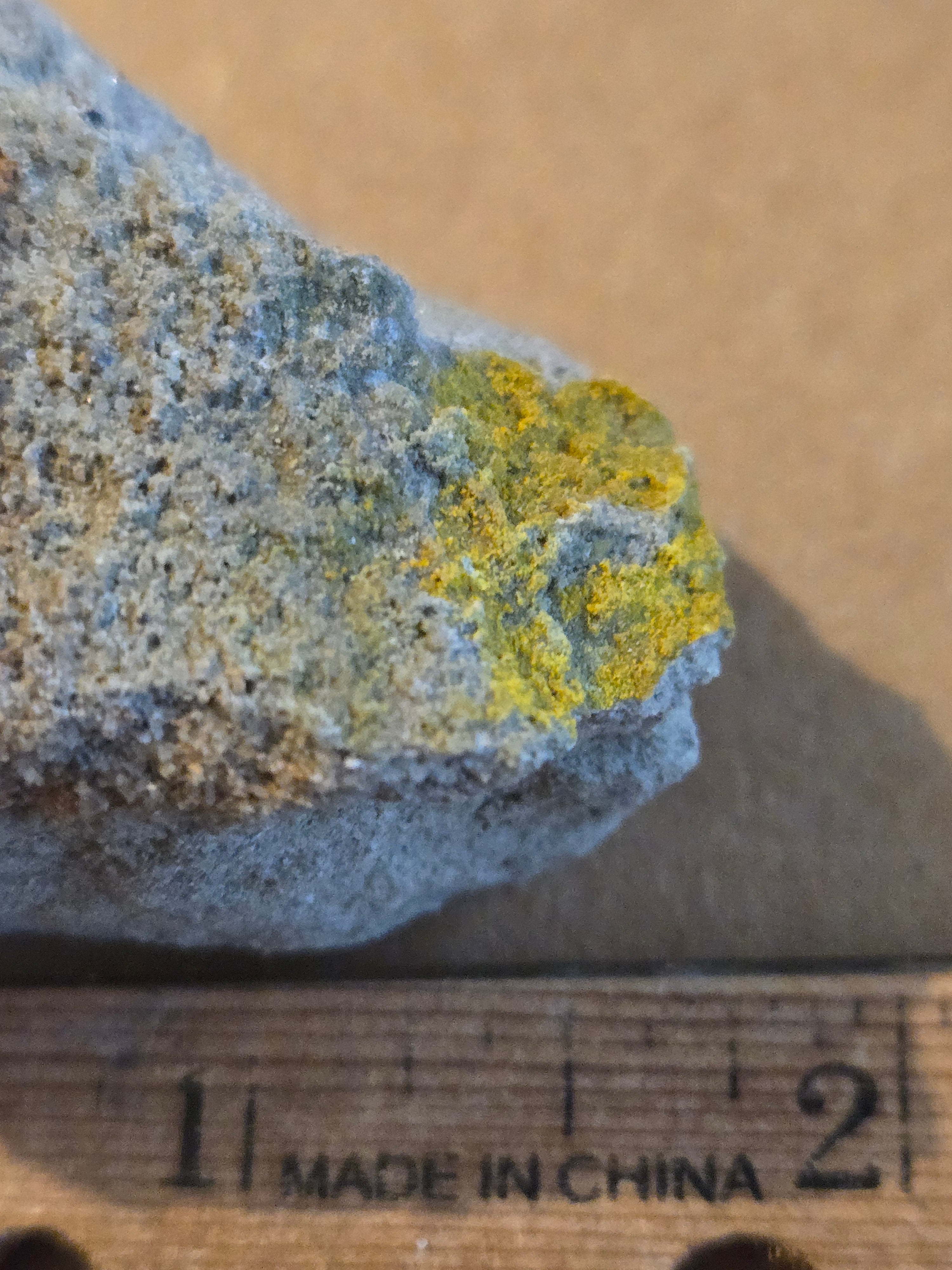Carnotite specimen