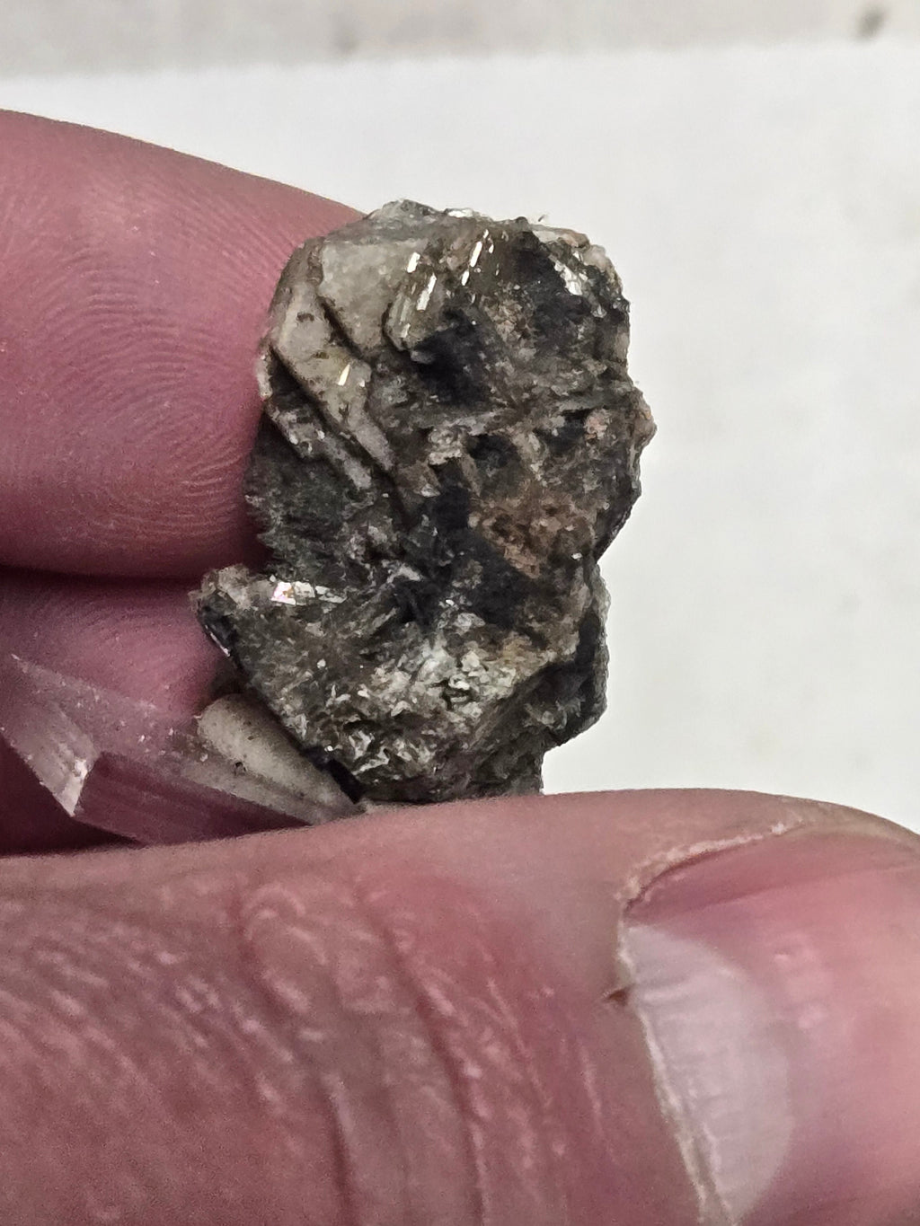 Catapleiite