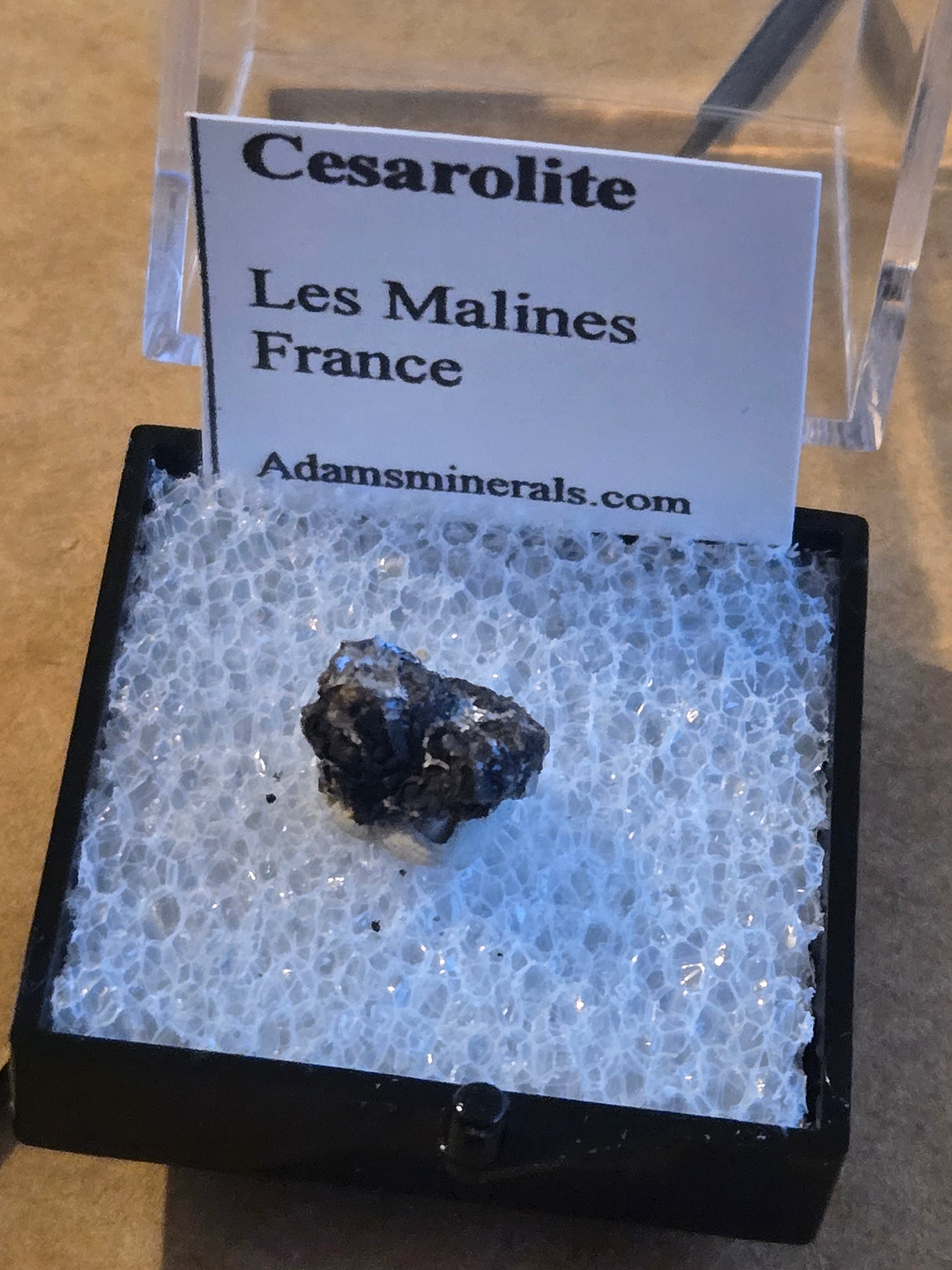 Cesarolite