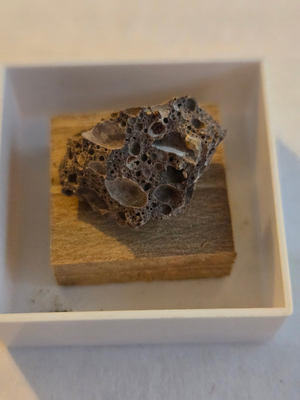 Chayesite specimen