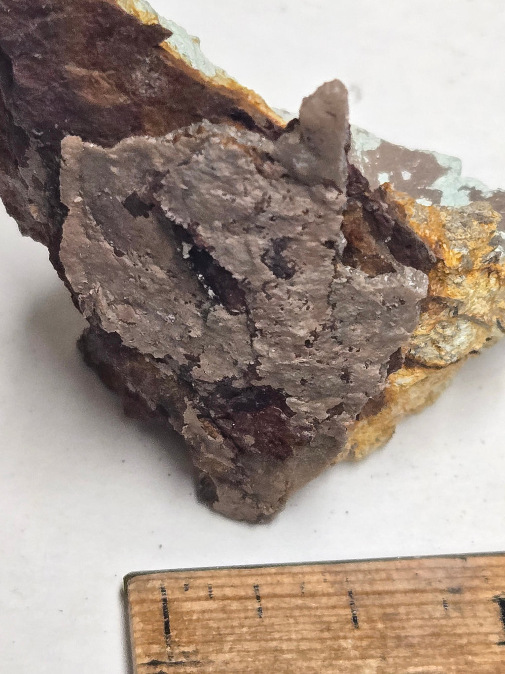 Chlorargyrite