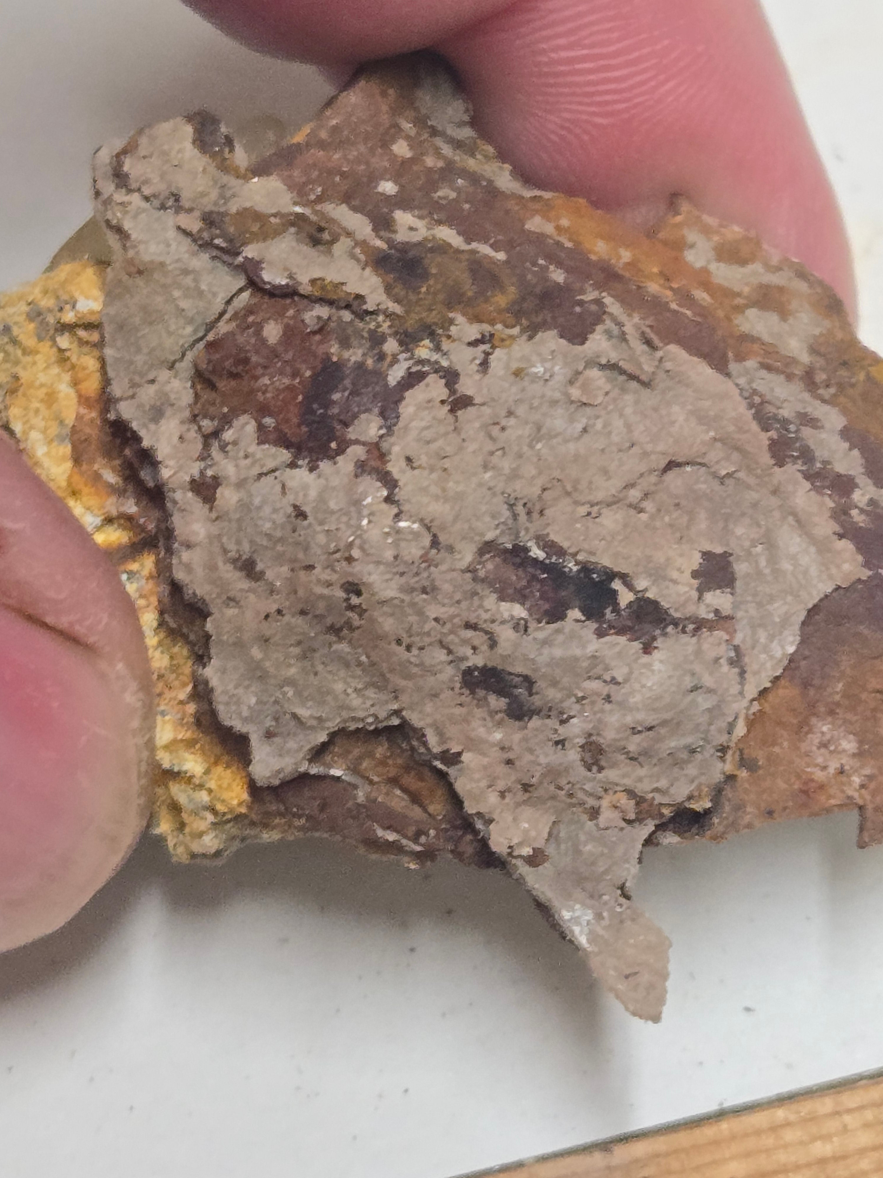 Chlorargyrite