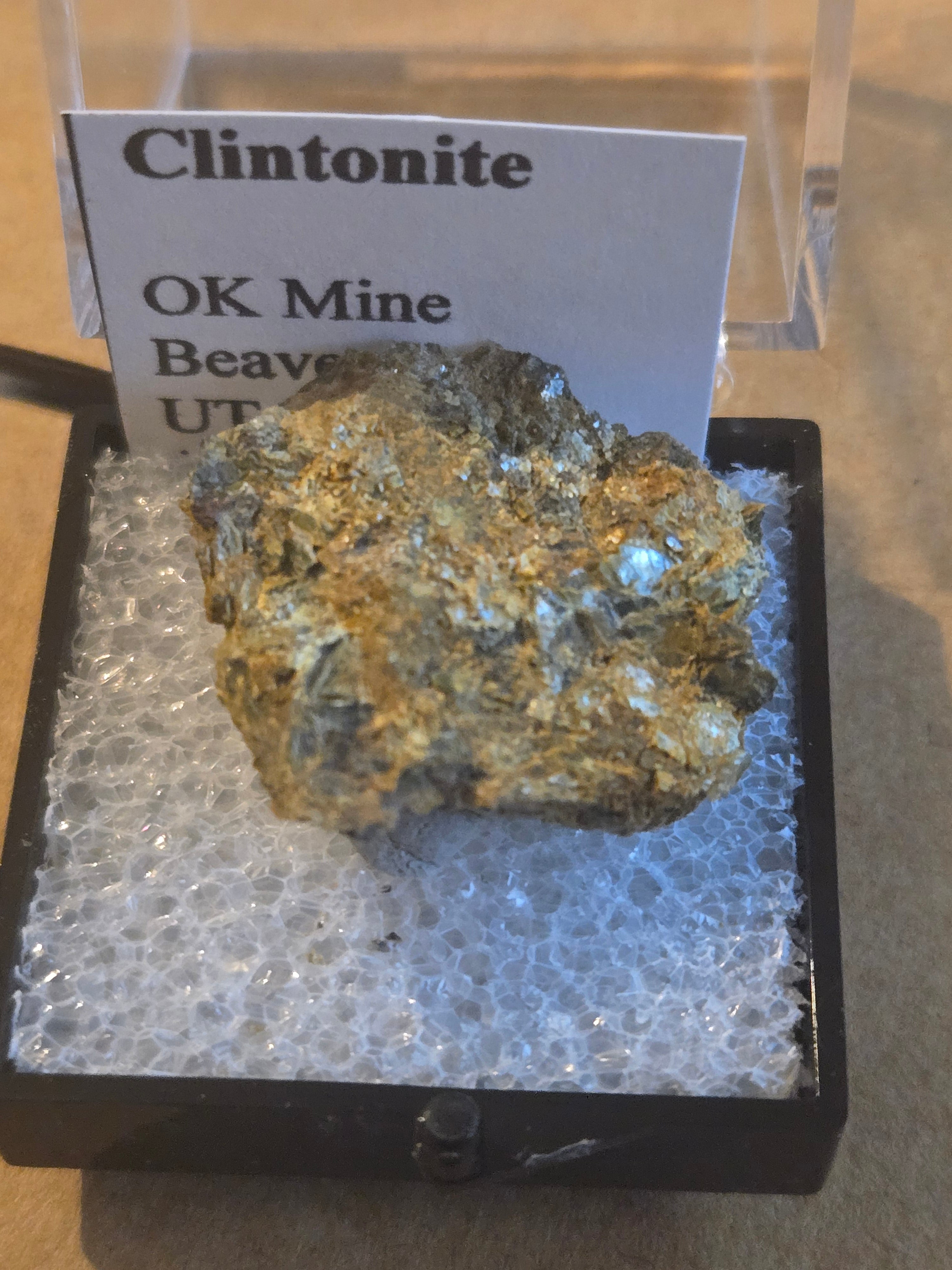 Clintonite mica