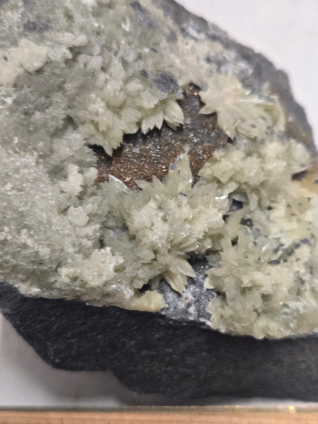 Collinsite