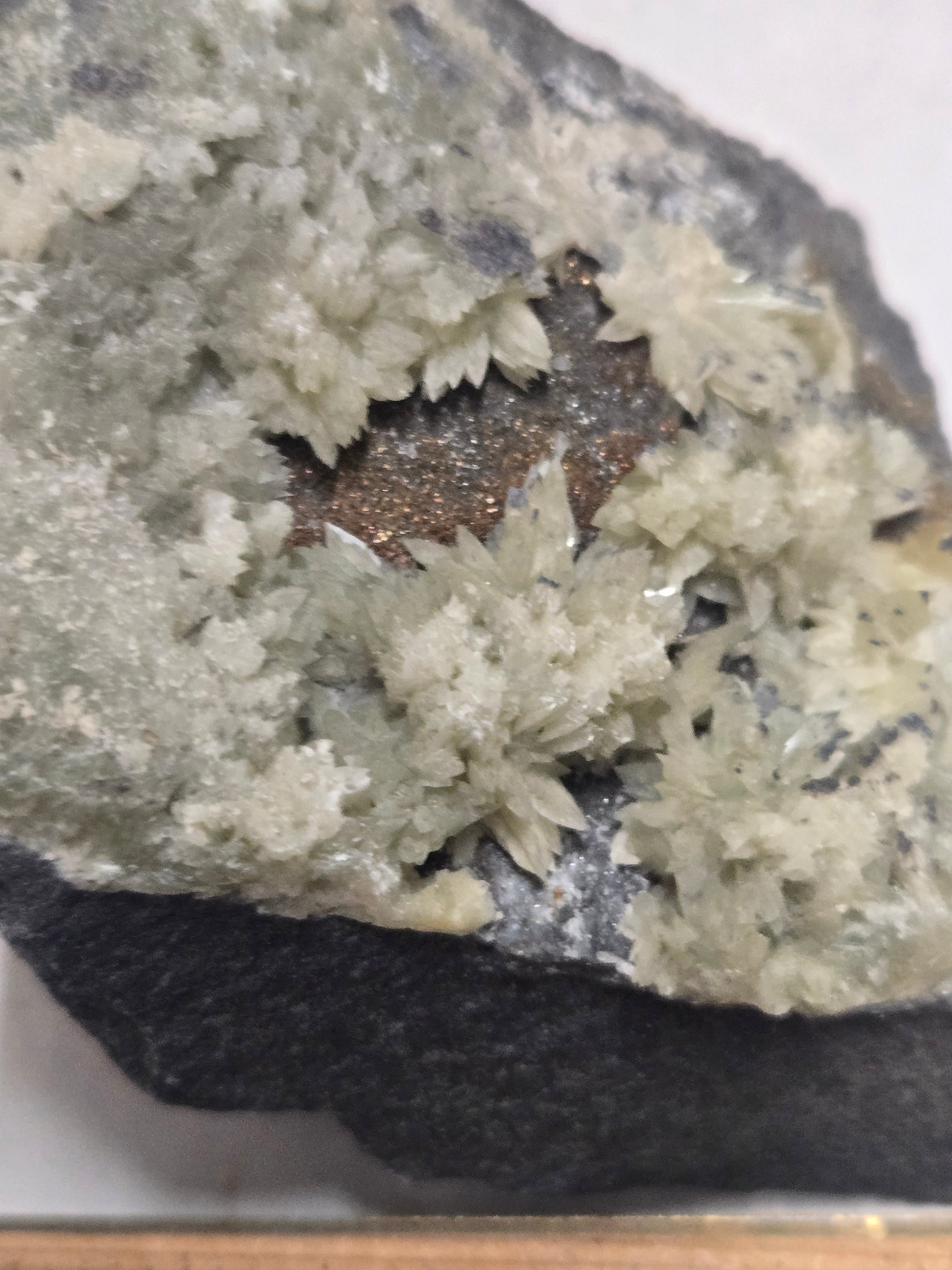 Collinsite