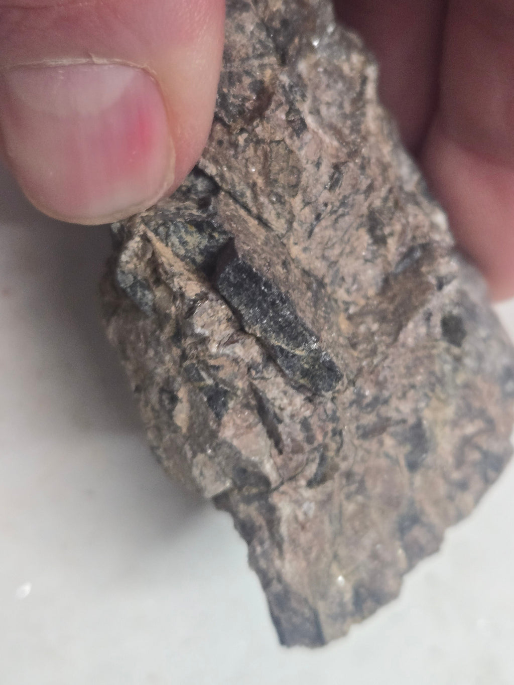 Columbite Fe