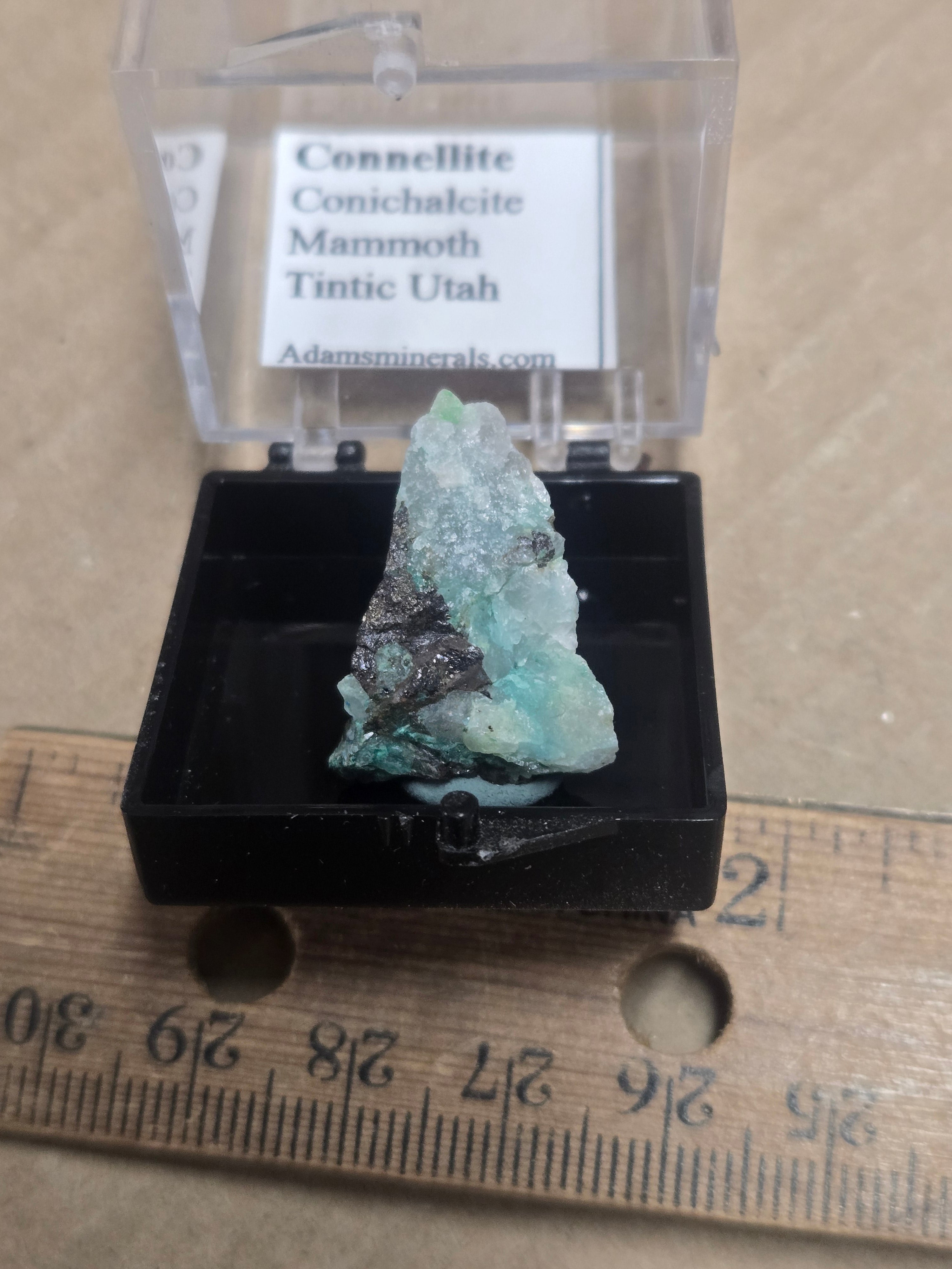 Connellite conichalcite