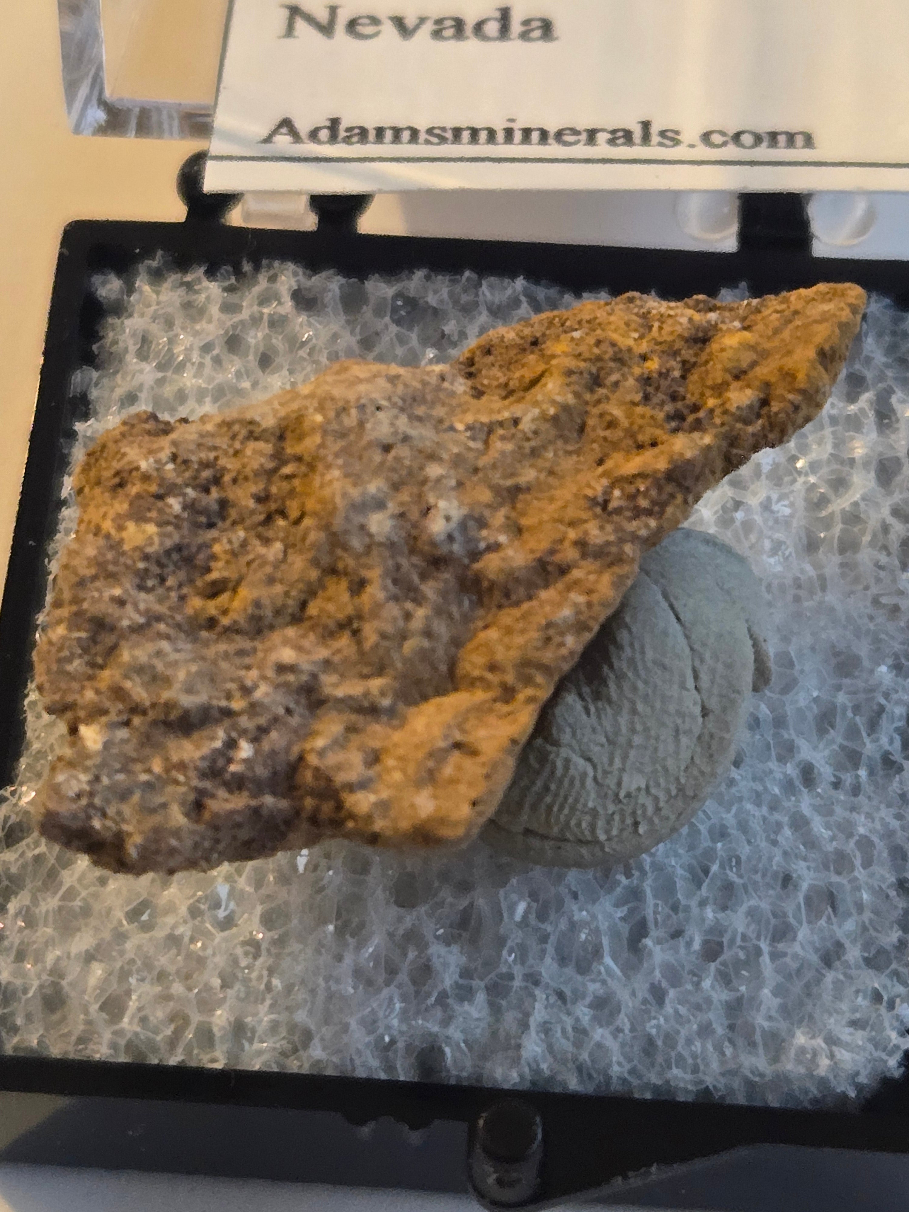 Corderoite w cinnabar