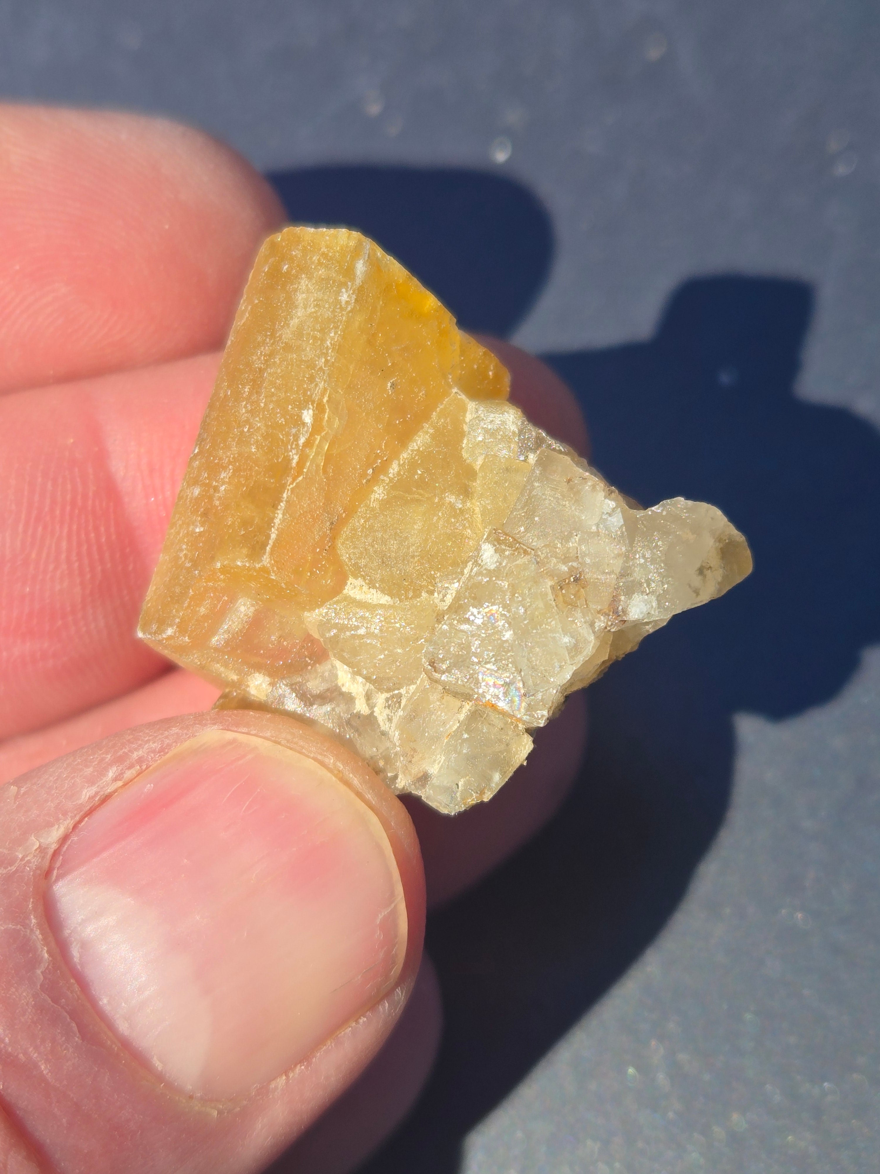 Cougar barite