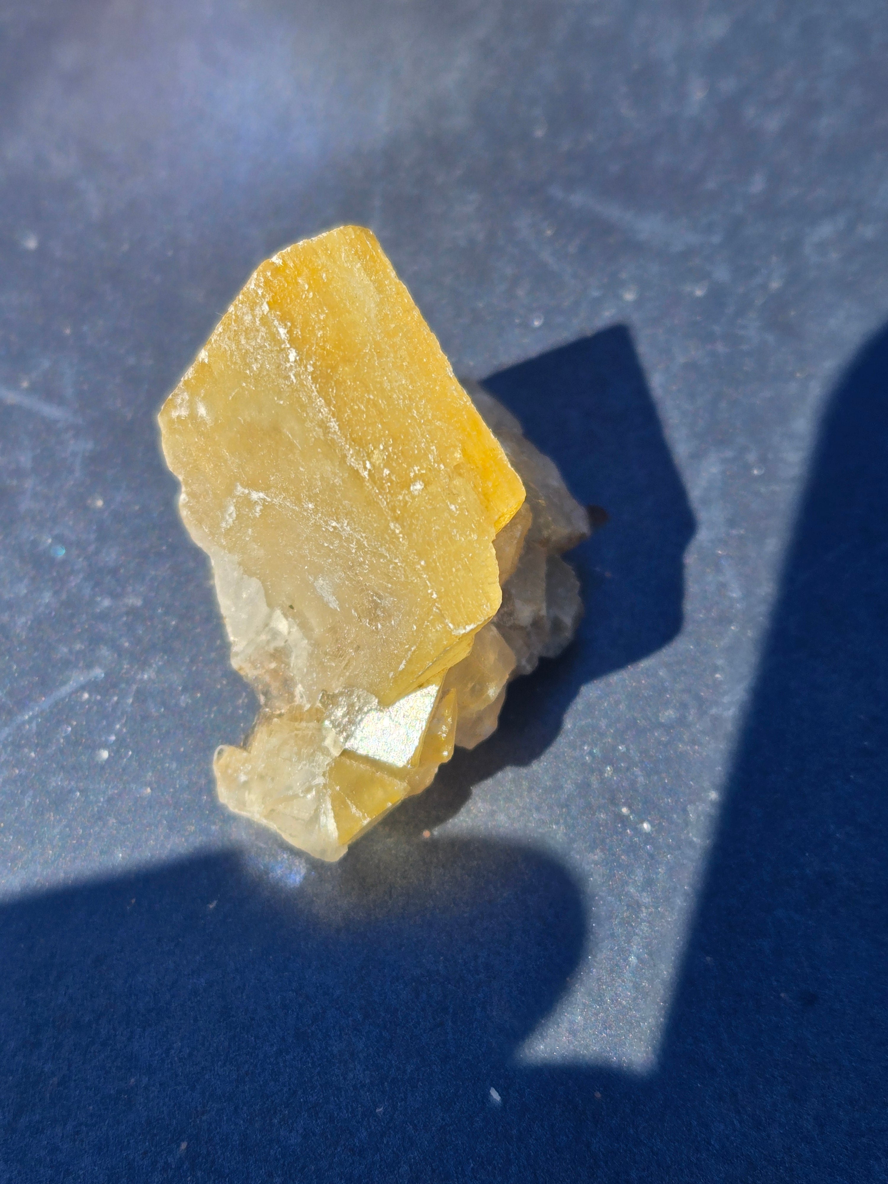 Cougar barite