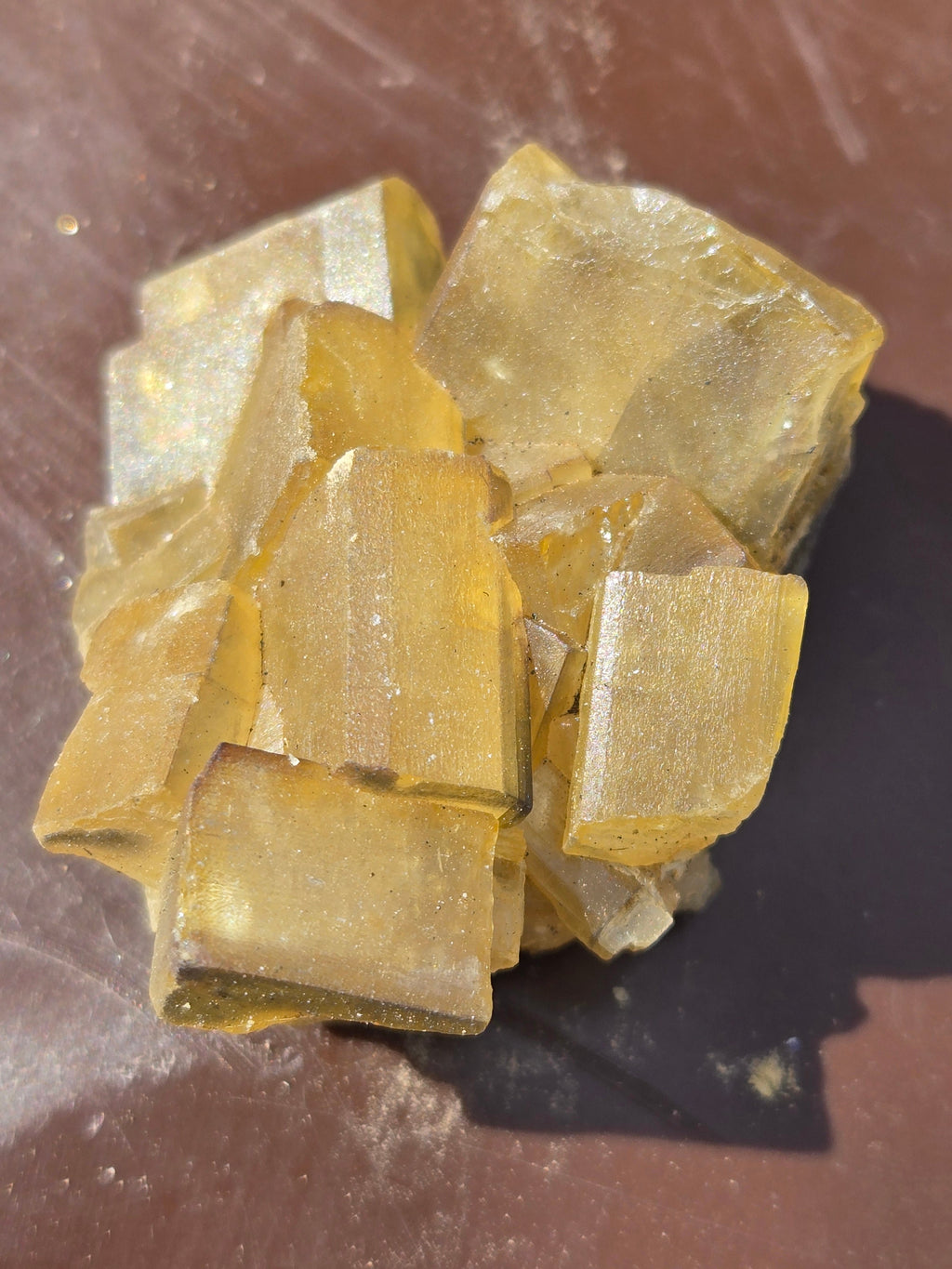 Cougar mine barite