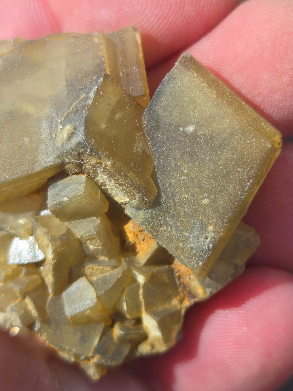 Cougar mine barite